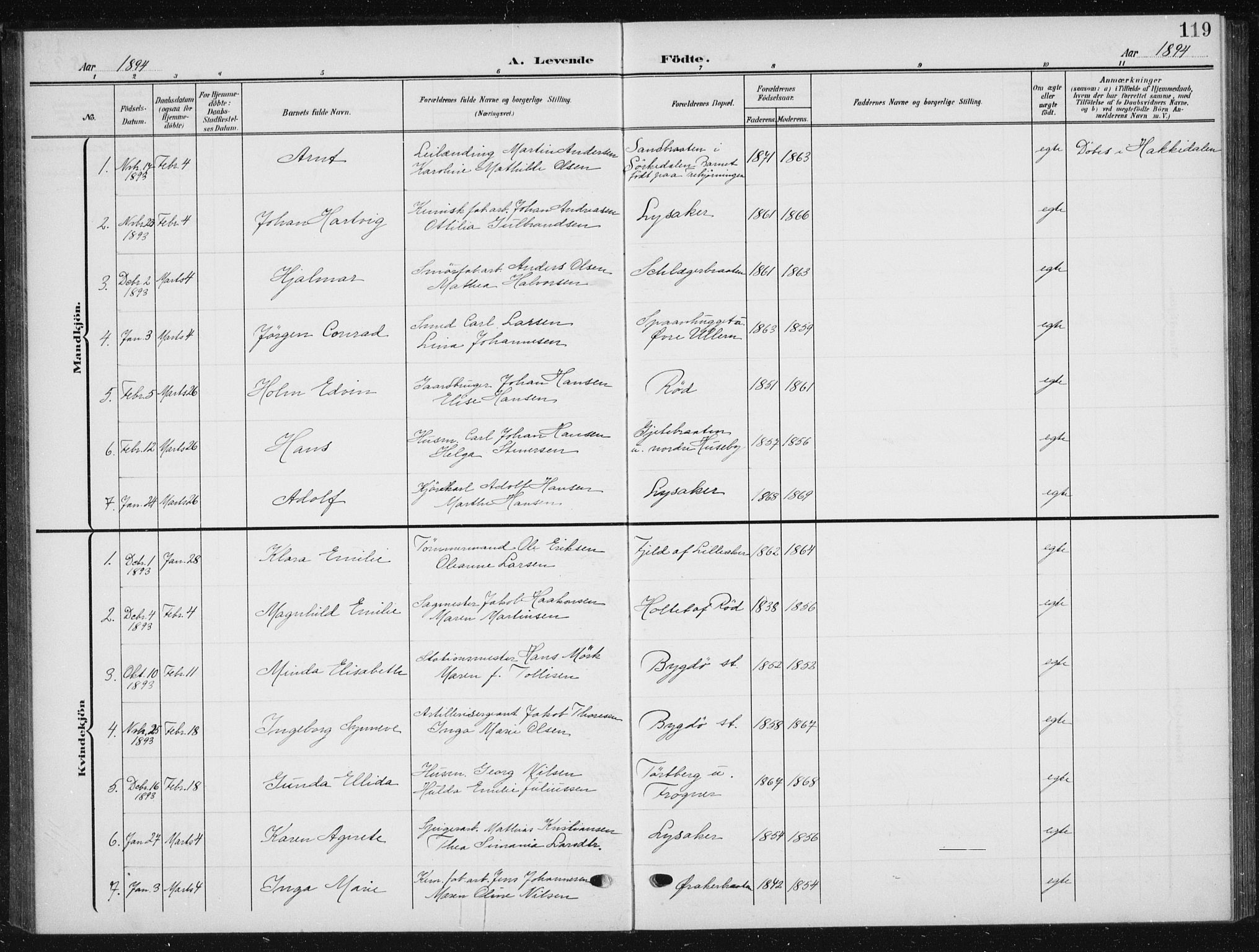Vestre Aker prestekontor Kirkebøker, SAO/A-10025/F/Fb/L0001: Parish register (official) no. II 1, 1880-1906, p. 119