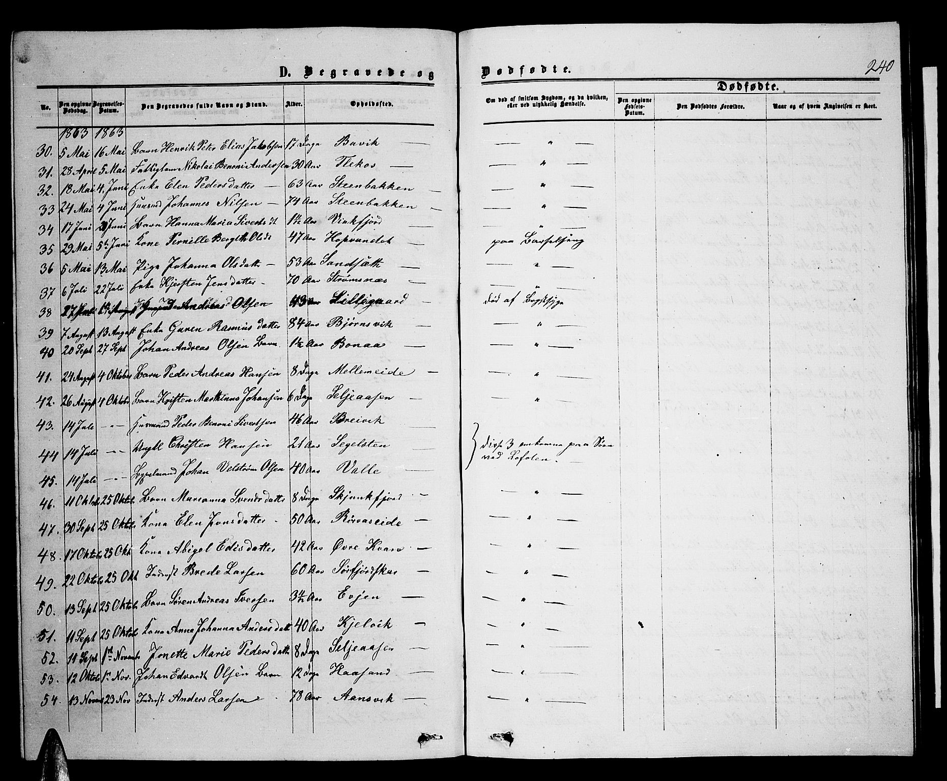 Ministerialprotokoller, klokkerbøker og fødselsregistre - Nordland, AV/SAT-A-1459/853/L0775: Parish register (copy) no. 853C03, 1859-1877, p. 240