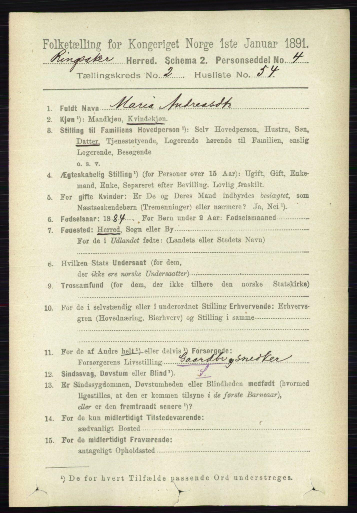 RA, 1891 census for 0412 Ringsaker, 1891, p. 1113