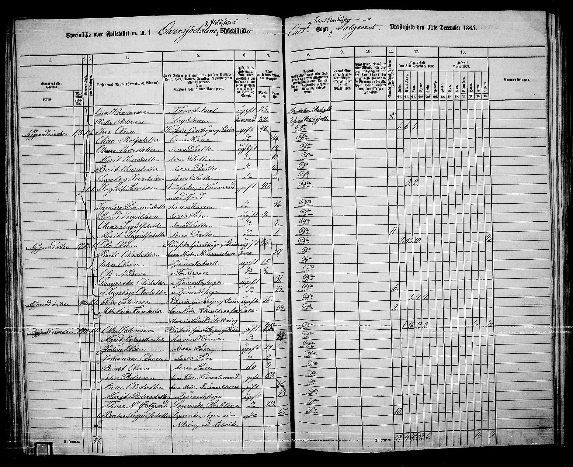 RA, 1865 census for Tolga, 1865, p. 82