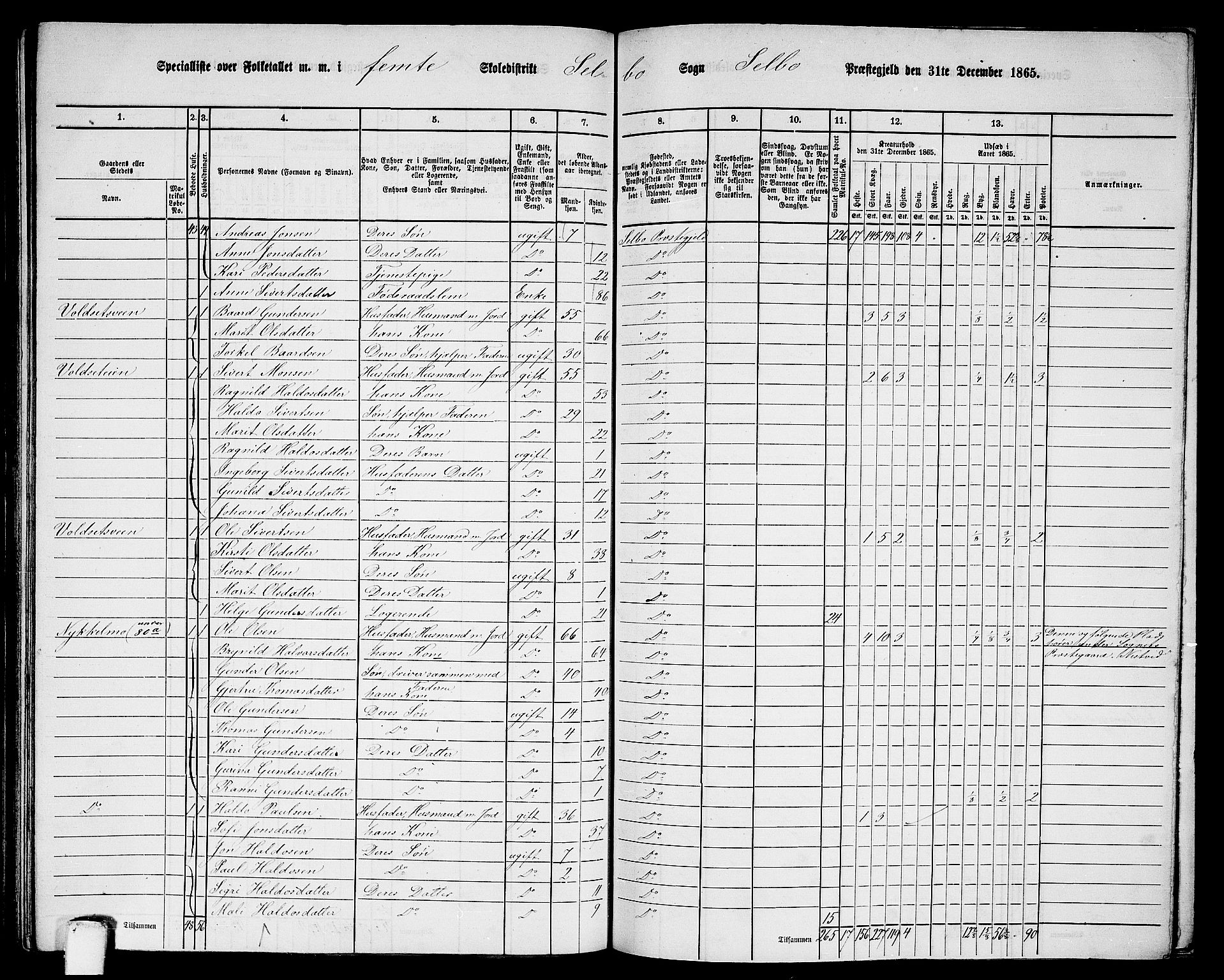 RA, 1865 census for Selbu, 1865, p. 73