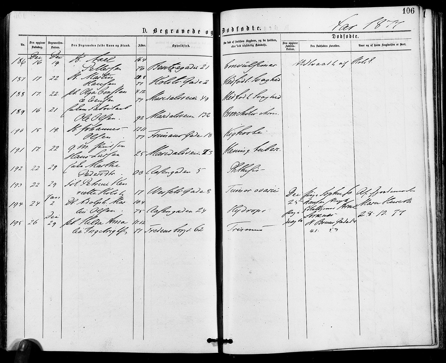 Gamle Aker prestekontor Kirkebøker, AV/SAO-A-10617a/F/L0004: Parish register (official) no. 4, 1872-1879, p. 106