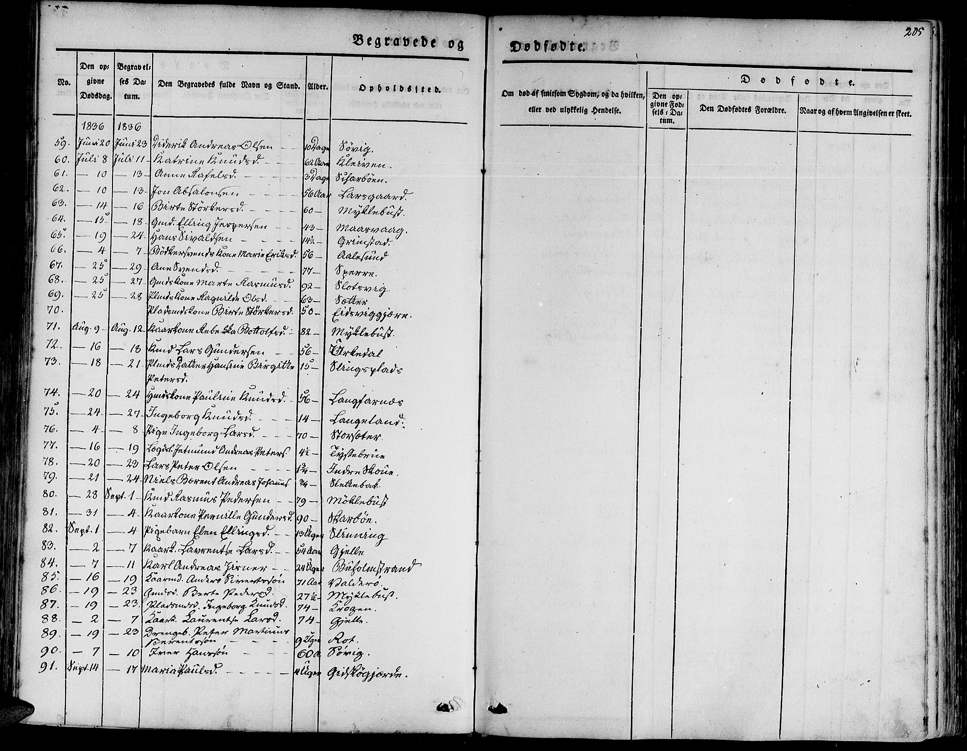 Ministerialprotokoller, klokkerbøker og fødselsregistre - Møre og Romsdal, AV/SAT-A-1454/528/L0395: Parish register (official) no. 528A06, 1828-1839, p. 205