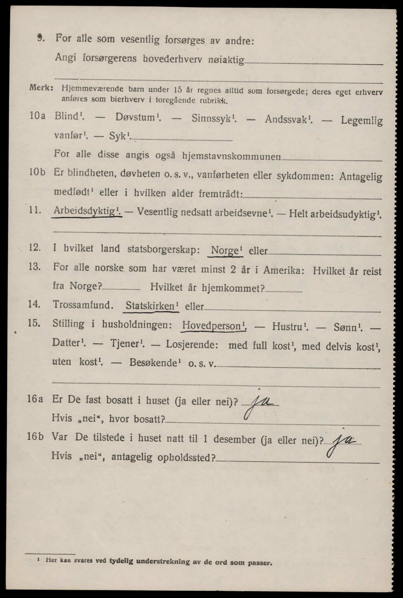 SAKO, 1920 census for Nissedal, 1920, p. 2028