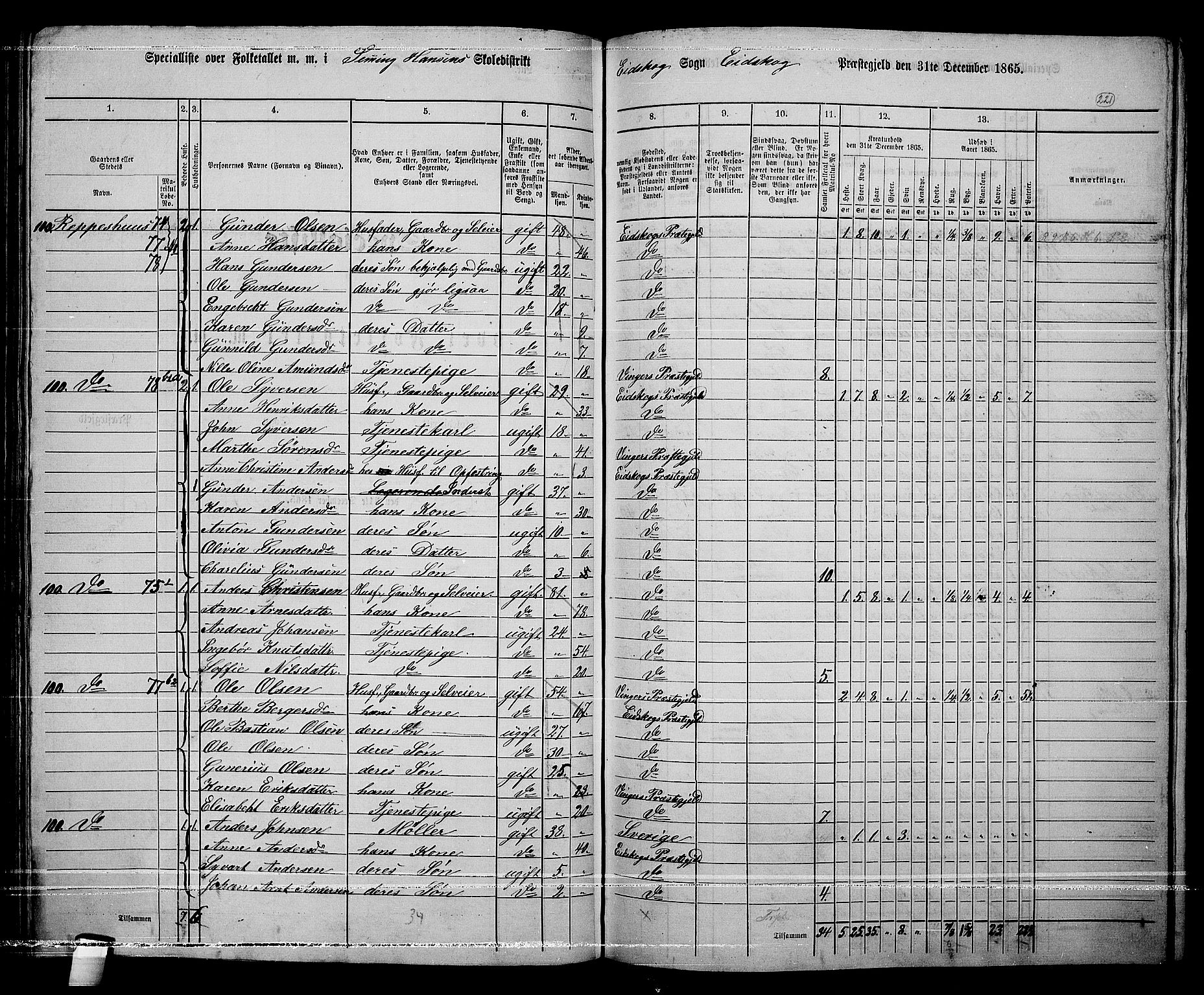 RA, 1865 census for Eidskog, 1865, p. 197