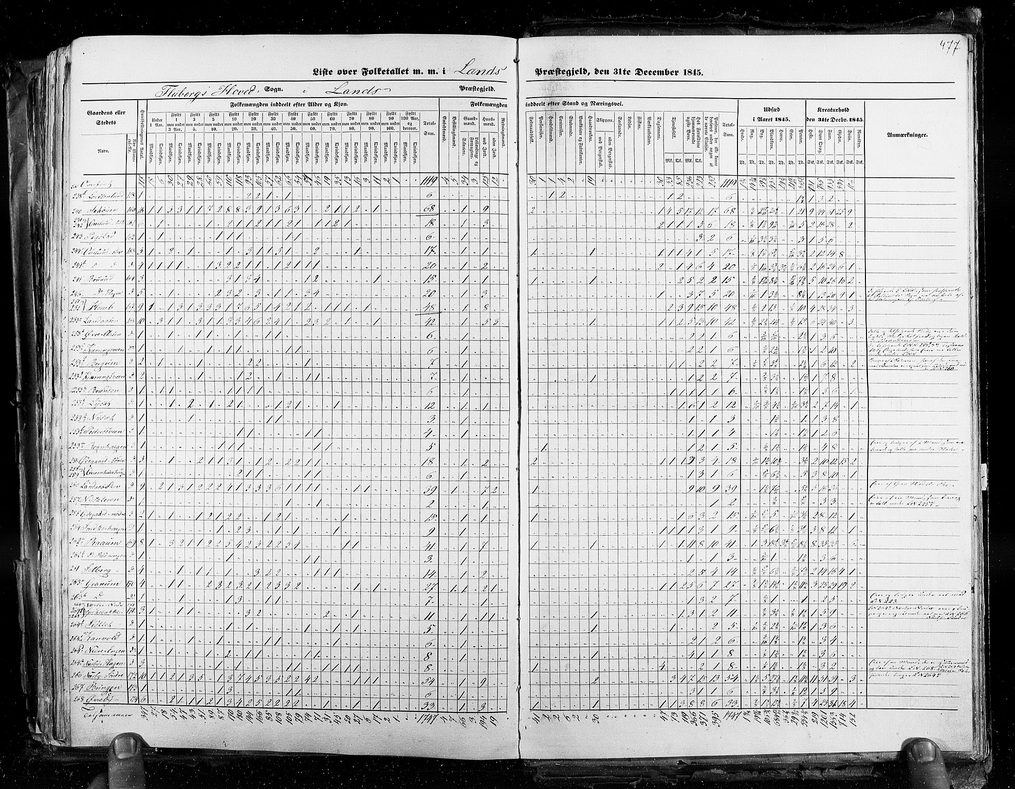 RA, Census 1845, vol. 3: Hedemarken amt og Kristians amt, 1845, p. 477