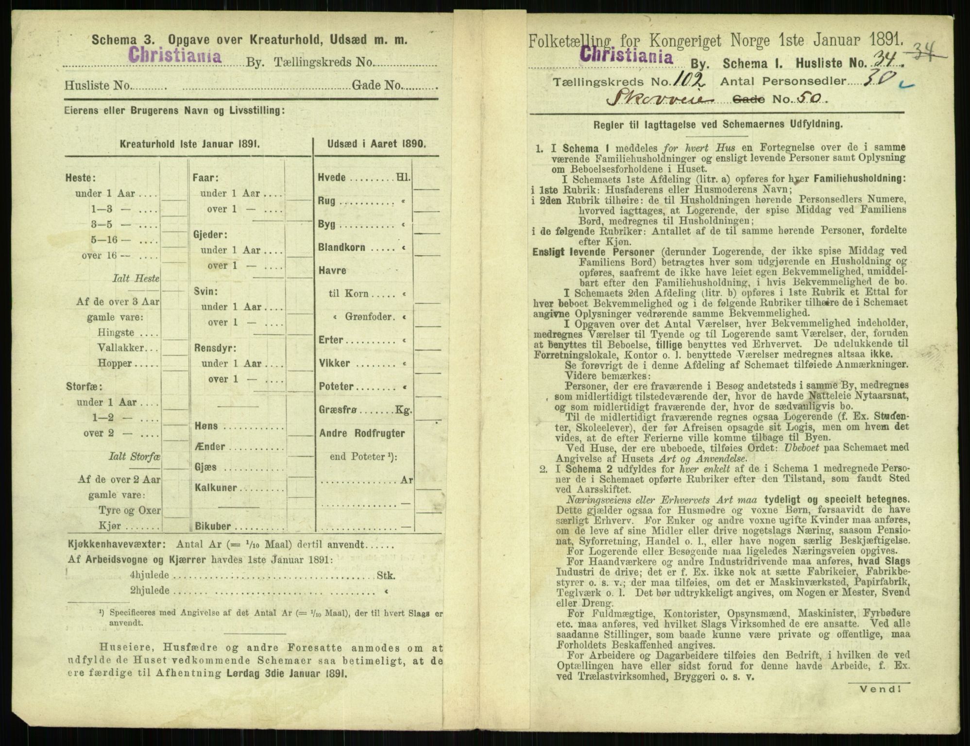 RA, 1891 census for 0301 Kristiania, 1891, p. 50613