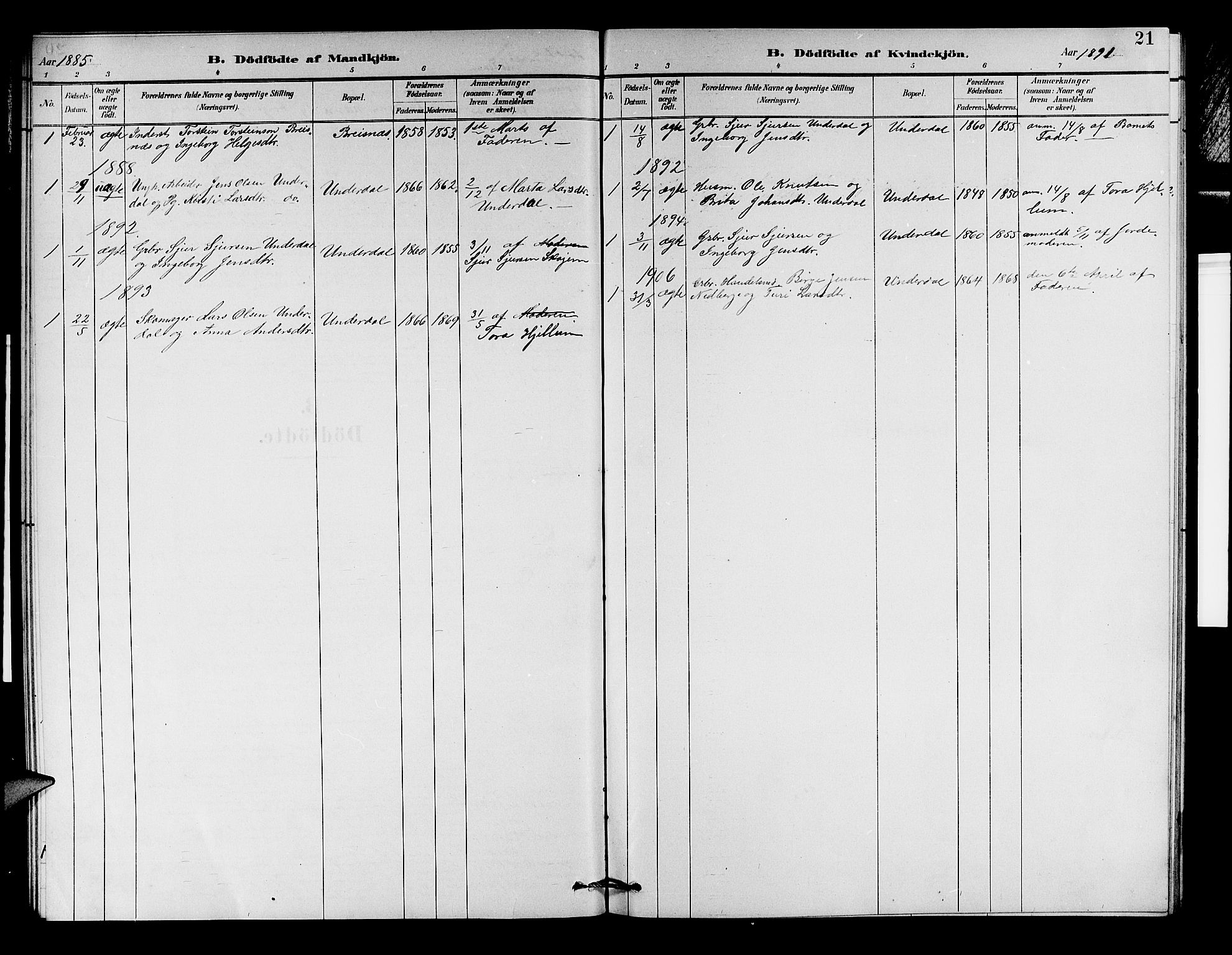 Aurland sokneprestembete, SAB/A-99937/H/Hb/Hbd/L0002: Parish register (copy) no. D 2, 1883-1920, p. 21