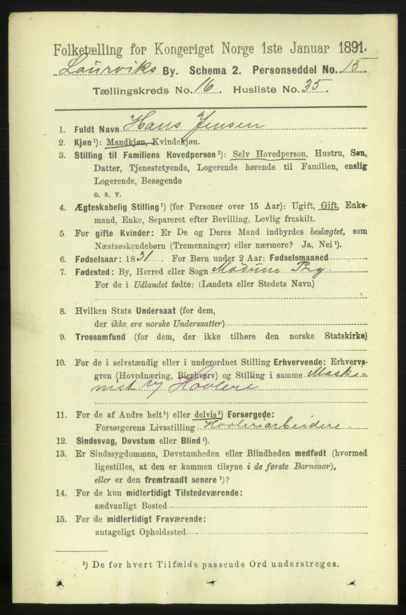 RA, 1891 census for 0707 Larvik, 1891, p. 11918