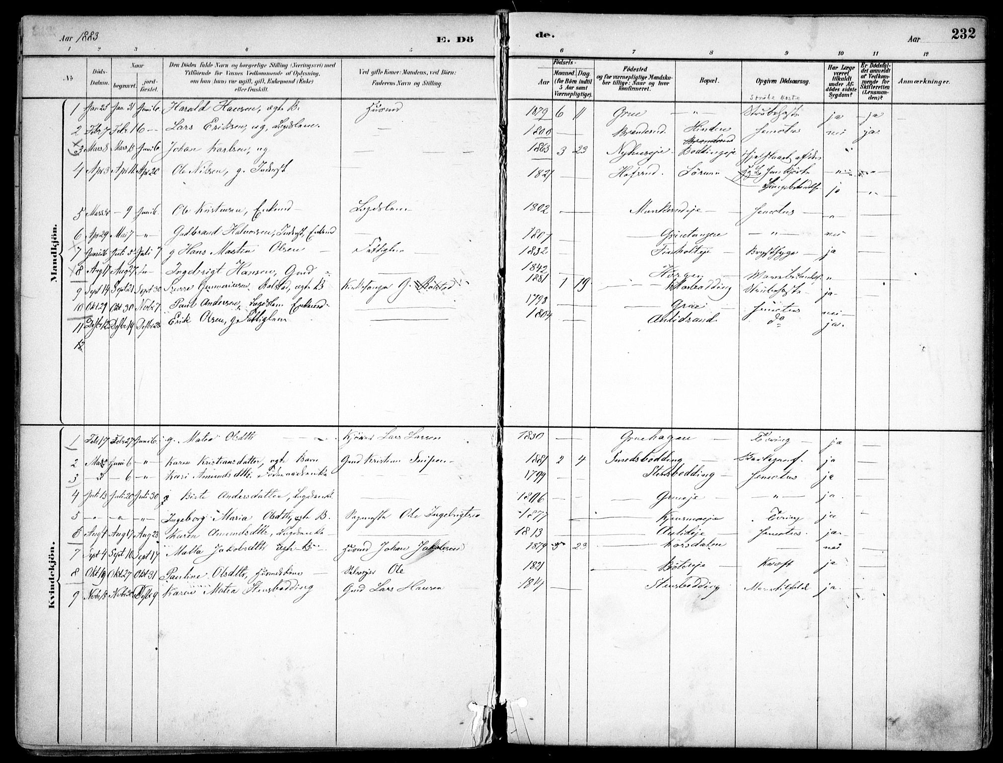 Nes prestekontor Kirkebøker, AV/SAO-A-10410/F/Fc/L0002: Parish register (official) no. IIi 2, 1882-1916, p. 232