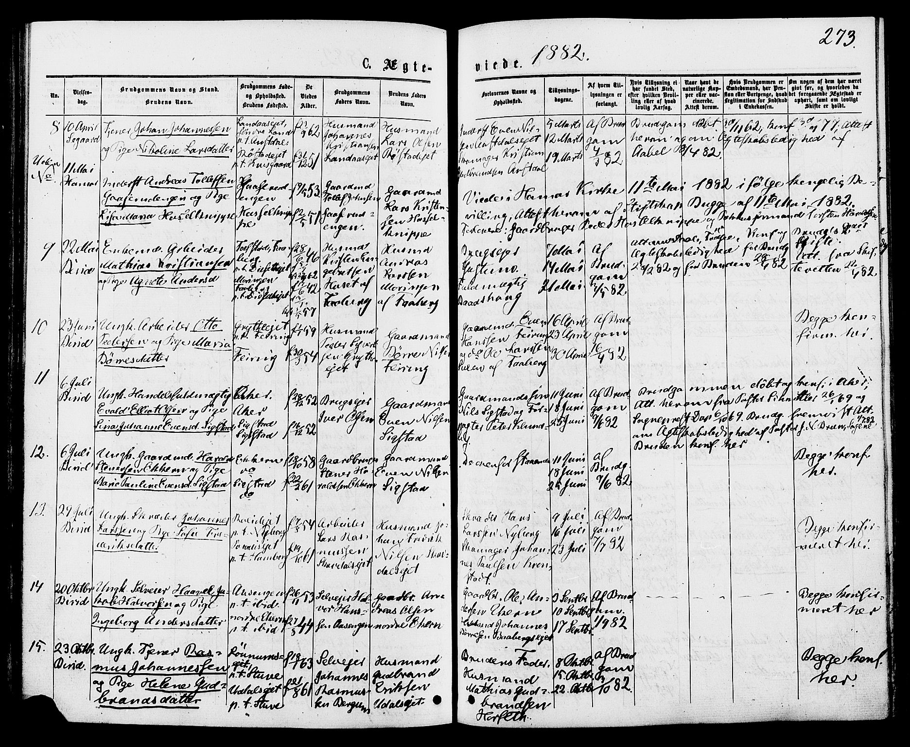 Biri prestekontor, SAH/PREST-096/H/Ha/Haa/L0006: Parish register (official) no. 6, 1877-1886, p. 273