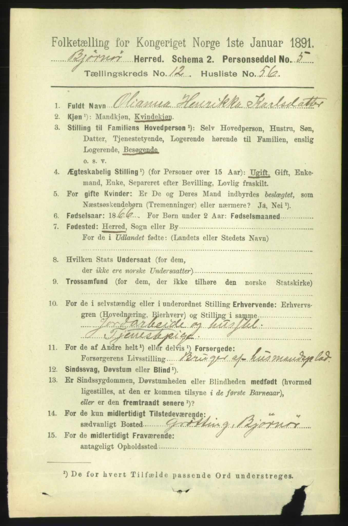 RA, 1891 census for 1632 Bjørnør, 1891, p. 5476