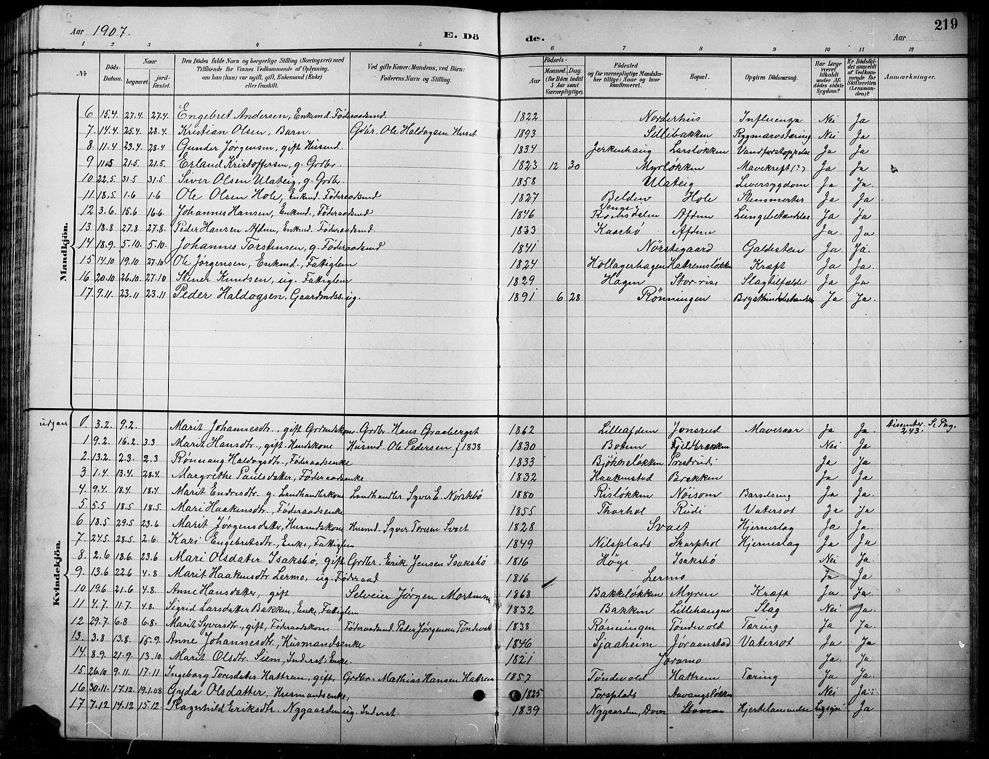 Lesja prestekontor, SAH/PREST-068/H/Ha/Hab/L0007: Parish register (copy) no. 7, 1895-1919, p. 219