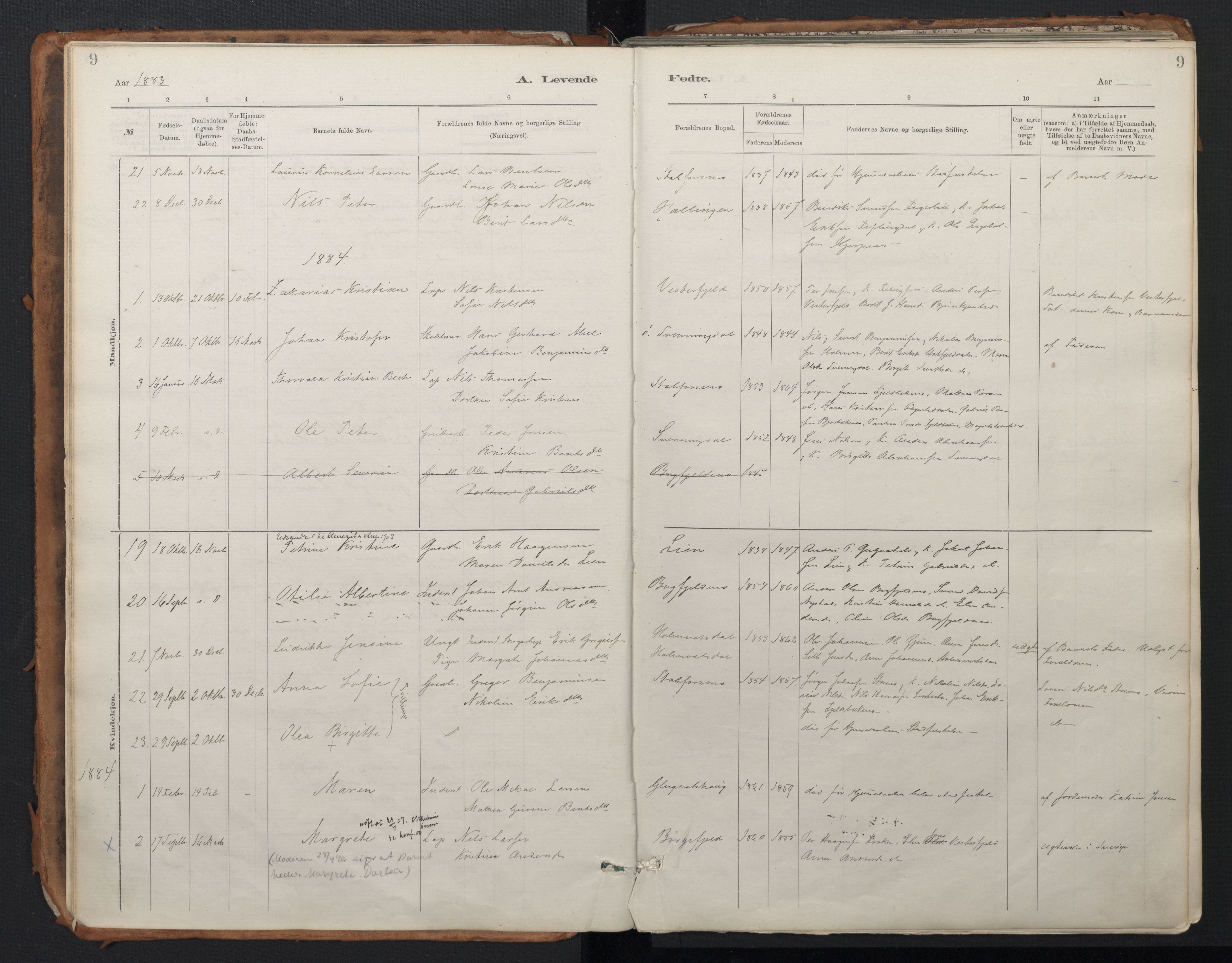 Ministerialprotokoller, klokkerbøker og fødselsregistre - Nordland, SAT/A-1459/824/L0338: Parish register (official) no. 824A01, 1880-1915, p. 9