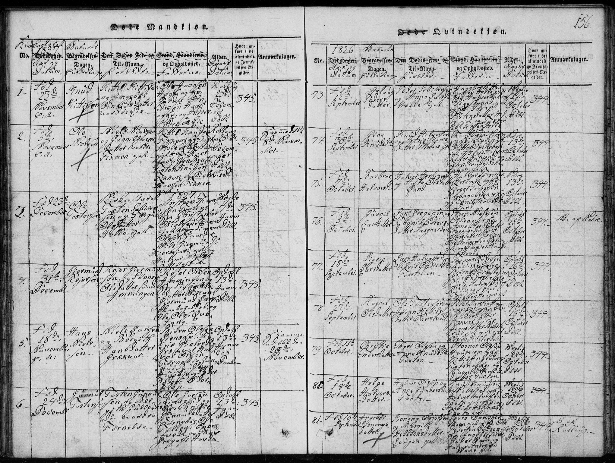 Rollag kirkebøker, SAKO/A-240/G/Ga/L0001: Parish register (copy) no. I 1, 1814-1831, p. 156