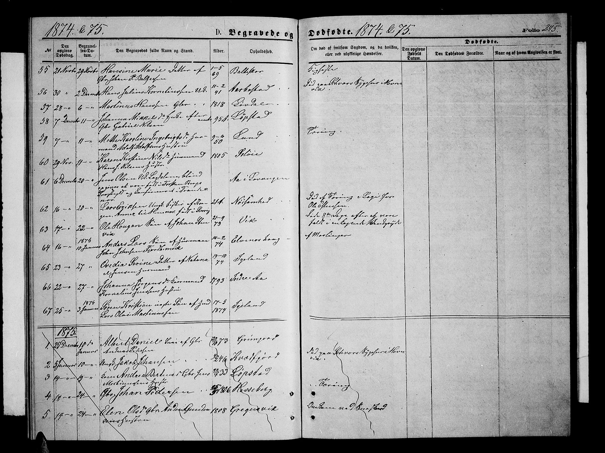 Ibestad sokneprestembete, SATØ/S-0077/H/Ha/Hab/L0006klokker: Parish register (copy) no. 6, 1871-1879, p. 245