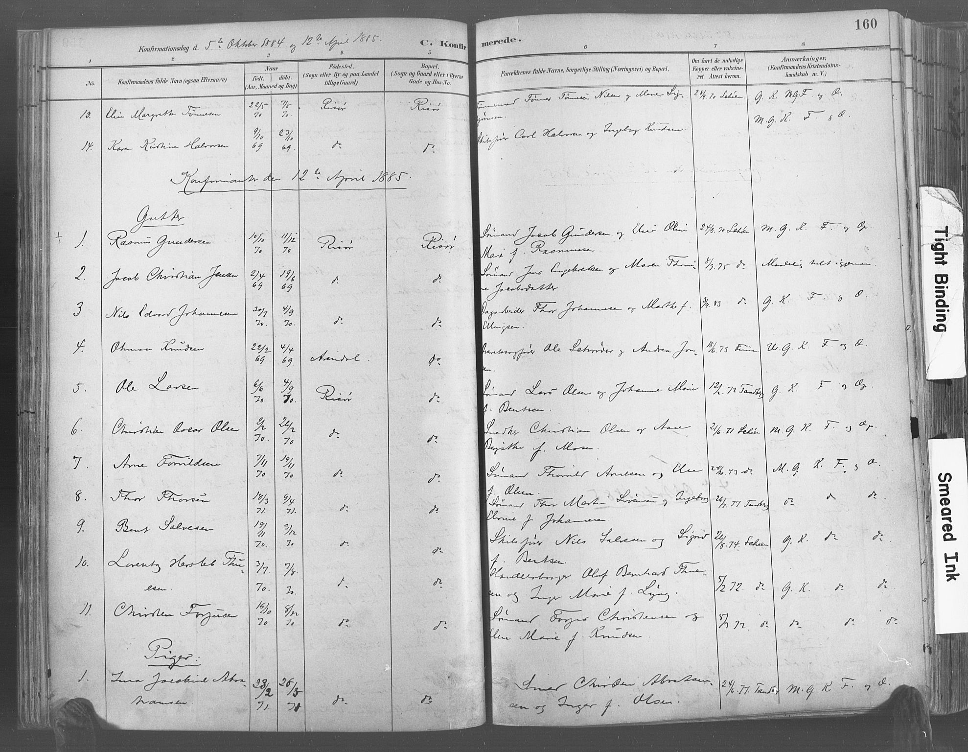 Risør sokneprestkontor, AV/SAK-1111-0035/F/Fa/L0005: Parish register (official) no. A 5, 1883-1895, p. 160