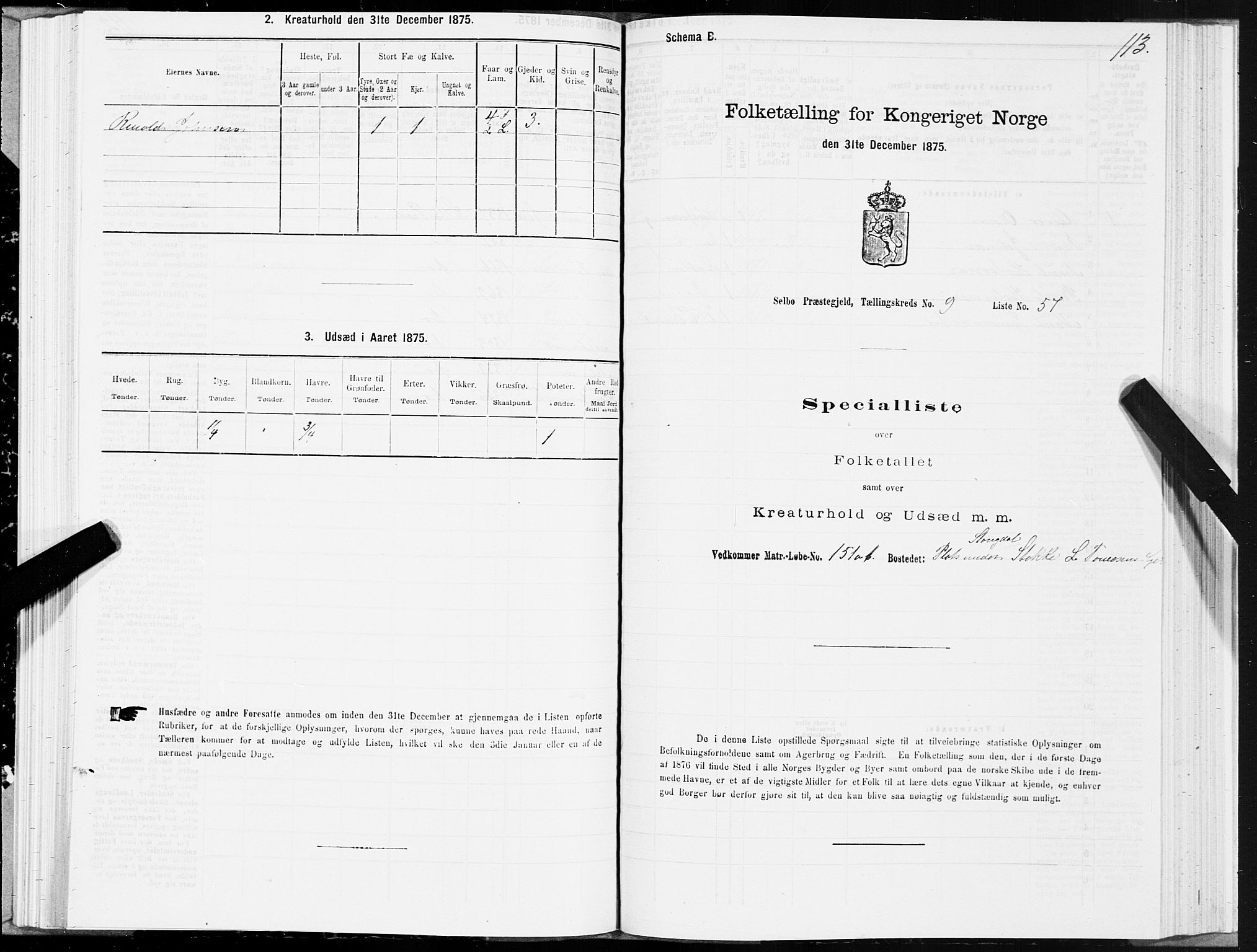 SAT, 1875 census for 1664P Selbu, 1875, p. 5113