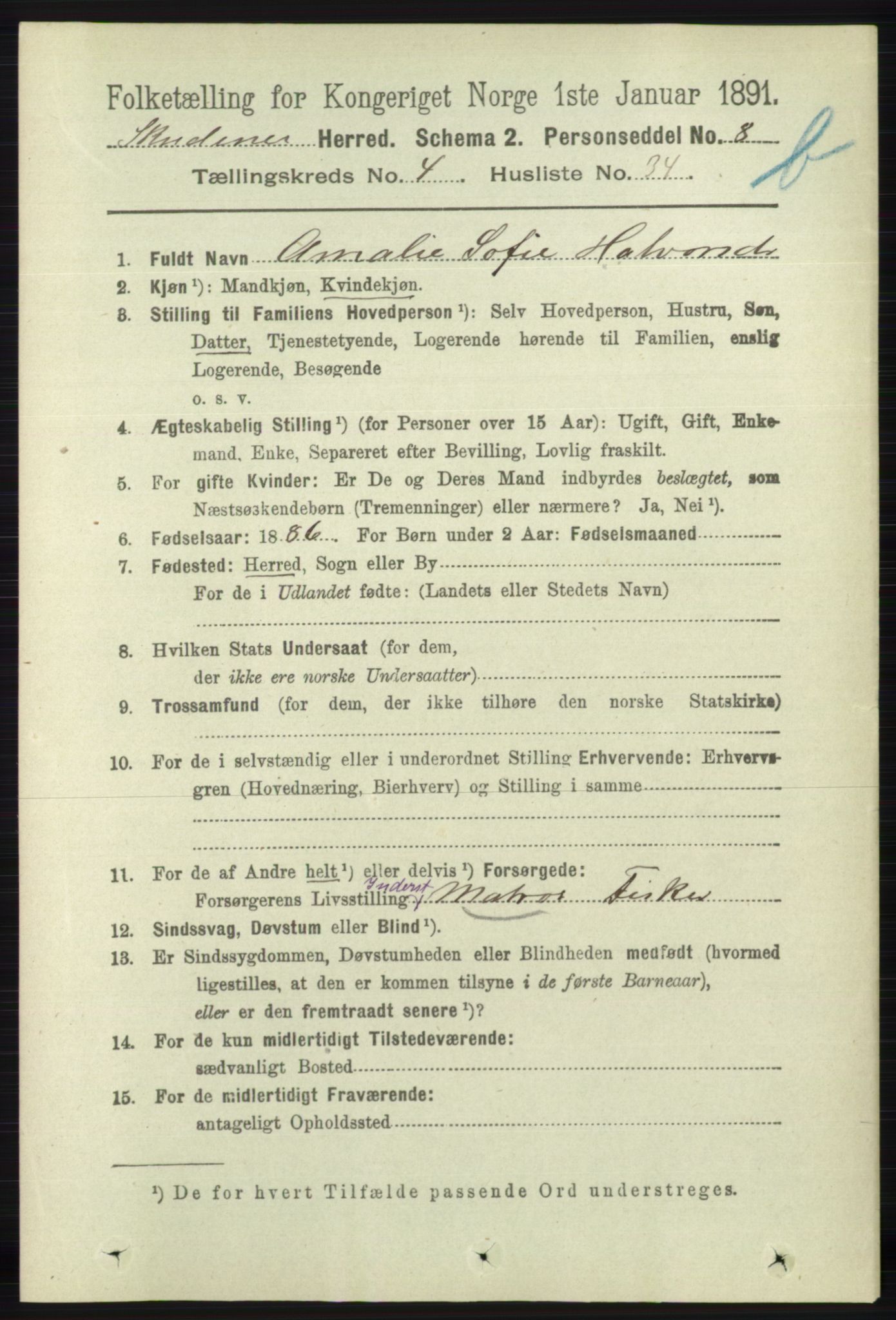 RA, 1891 census for 1150 Skudenes, 1891, p. 4725