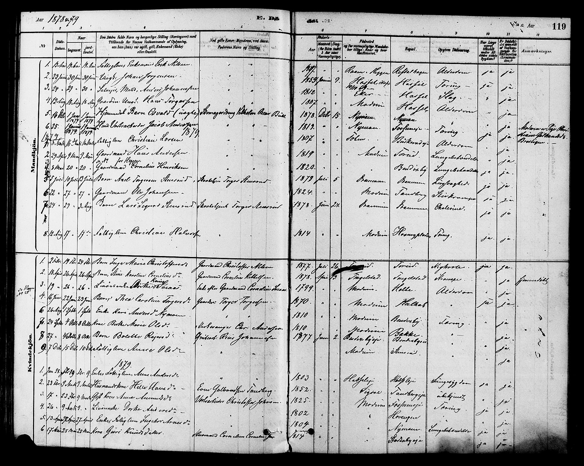 Modum kirkebøker, AV/SAKO-A-234/F/Fa/L0015: Parish register (official) no. 15 /1, 1877-1889, p. 119