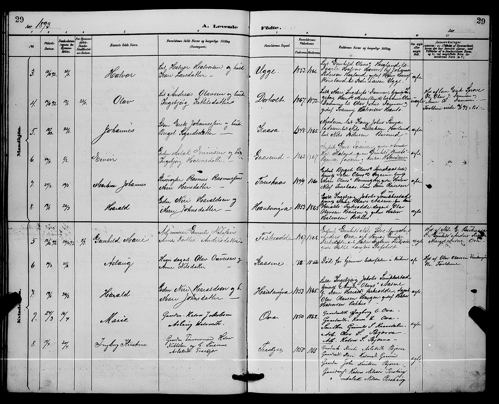 Lunde kirkebøker, SAKO/A-282/G/Ga/L0002: Parish register (copy) no. I 2, 1887-1896, p. 29