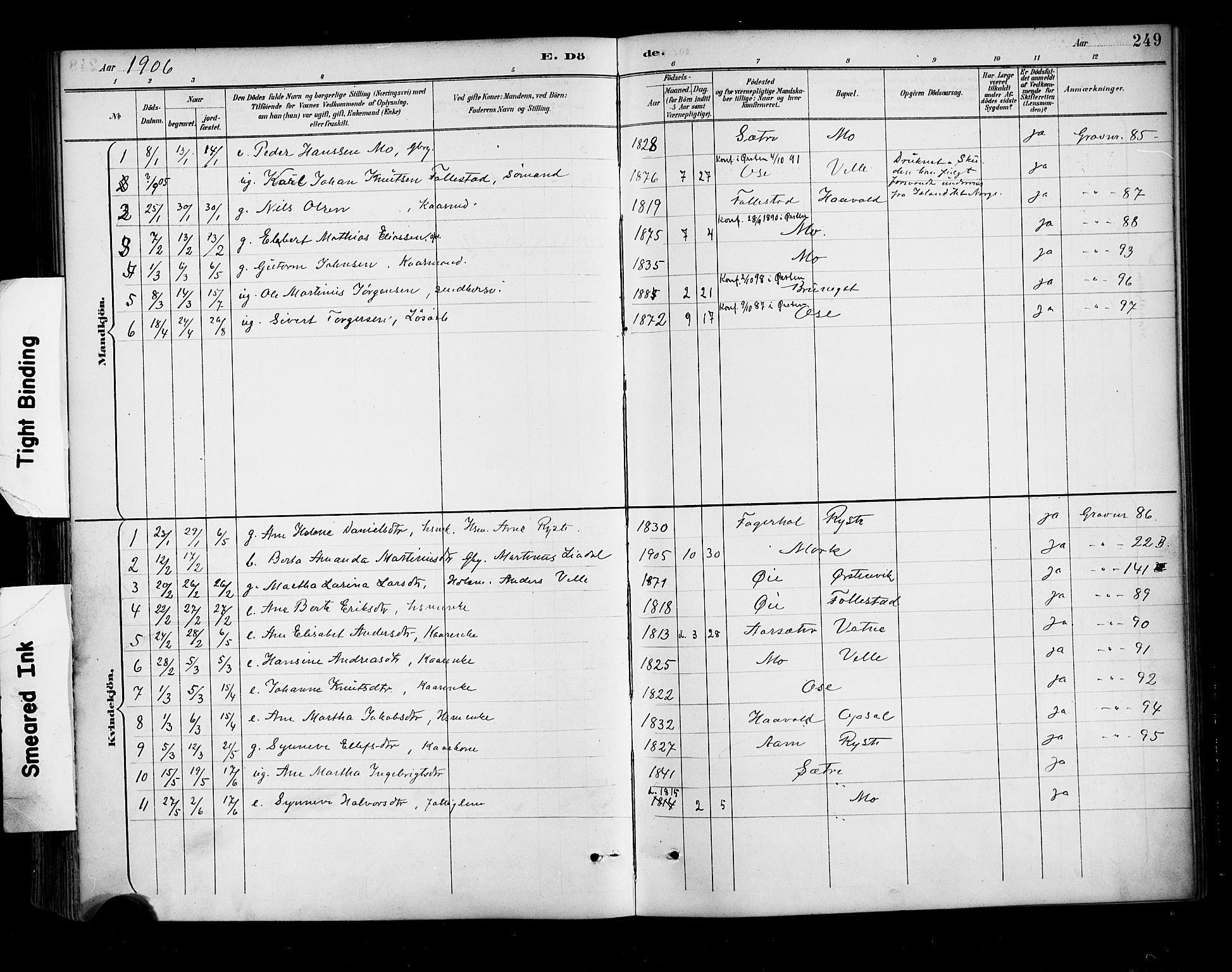 Ministerialprotokoller, klokkerbøker og fødselsregistre - Møre og Romsdal, AV/SAT-A-1454/513/L0177: Parish register (official) no. 513A04, 1890-1906, p. 249