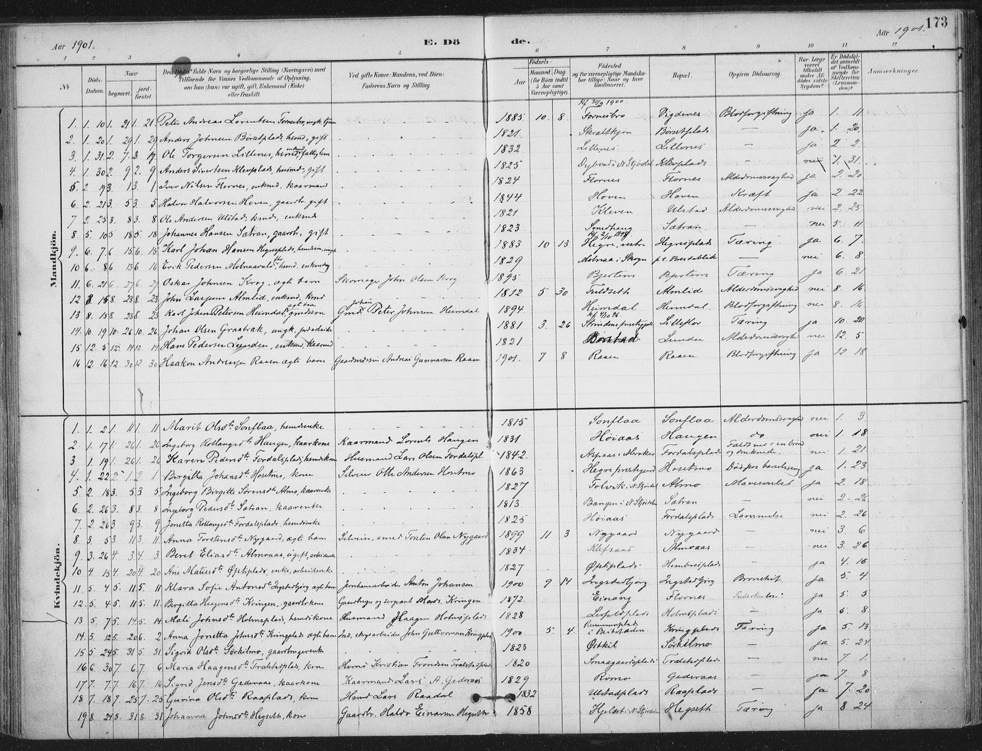 Ministerialprotokoller, klokkerbøker og fødselsregistre - Nord-Trøndelag, AV/SAT-A-1458/703/L0031: Parish register (official) no. 703A04, 1893-1914, p. 173