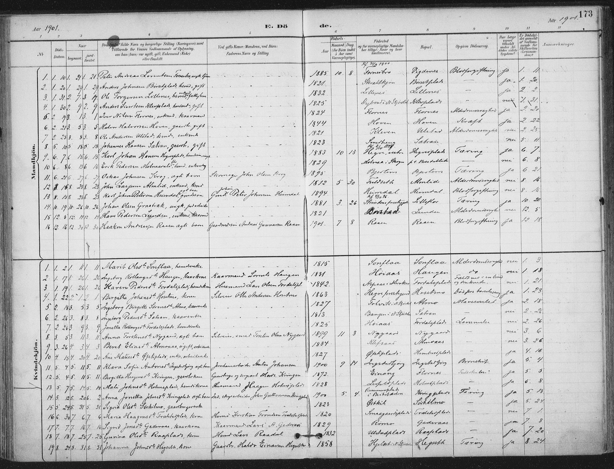 Ministerialprotokoller, klokkerbøker og fødselsregistre - Nord-Trøndelag, SAT/A-1458/703/L0031: Parish register (official) no. 703A04, 1893-1914, p. 173