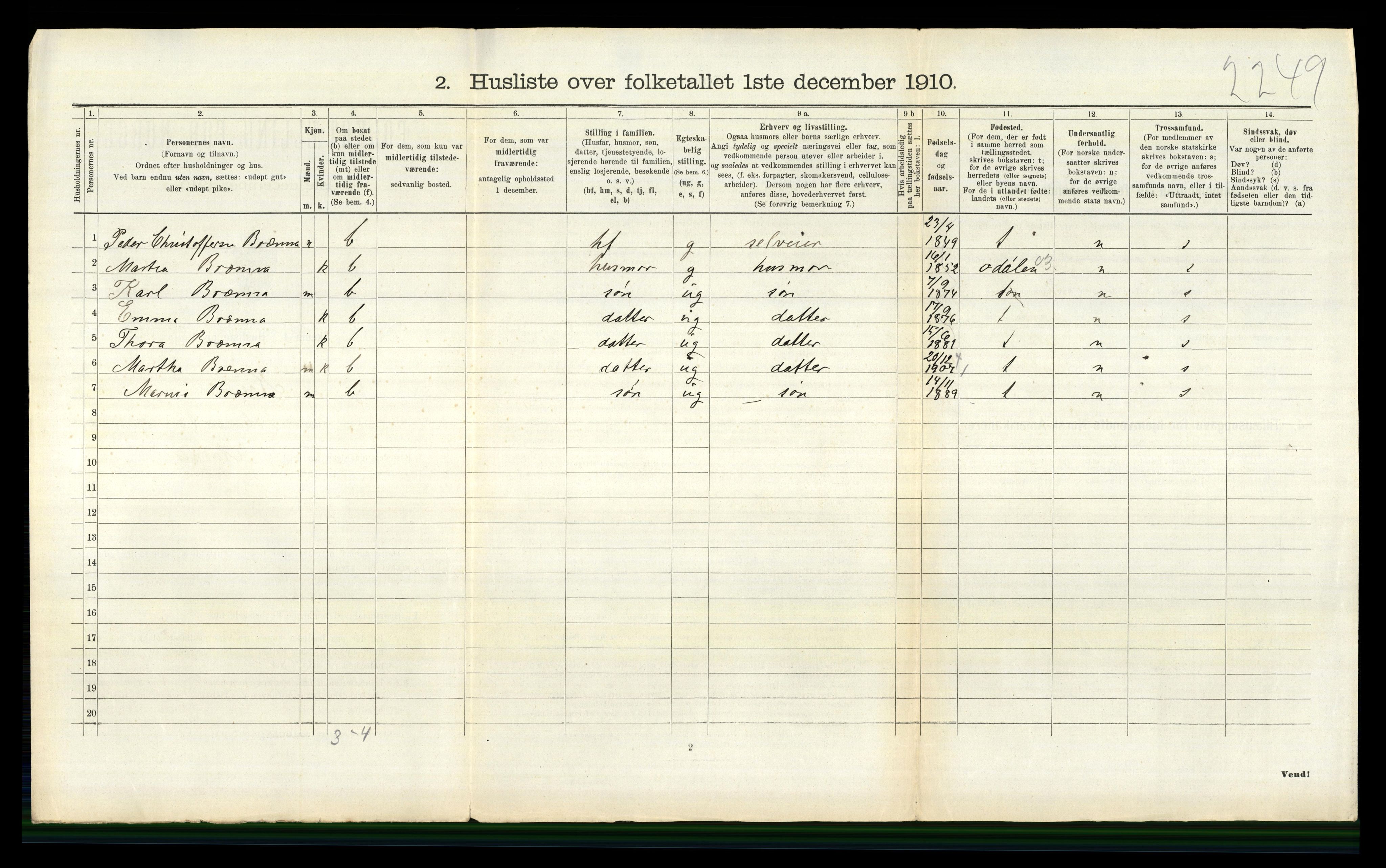 RA, 1910 census for Nes, 1910, p. 1293