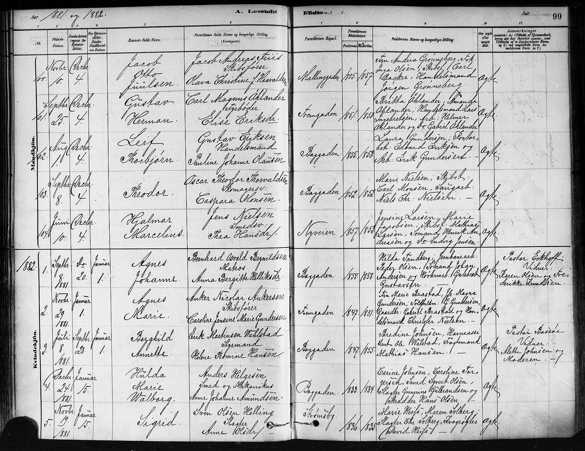 Strømsø kirkebøker, AV/SAKO-A-246/F/Fa/L0021: Parish register (official) no. I 21, 1878-1885, p. 99