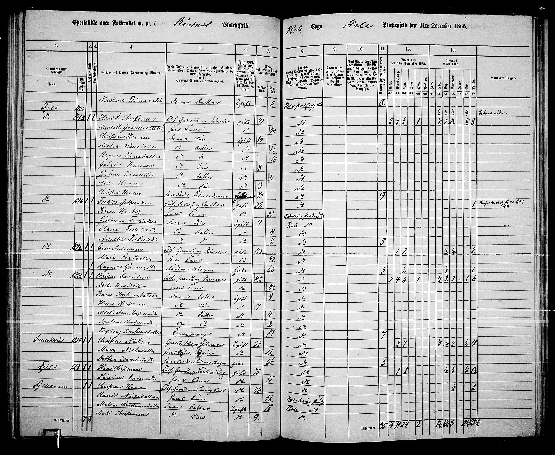 RA, 1865 census for Hole, 1865, p. 90