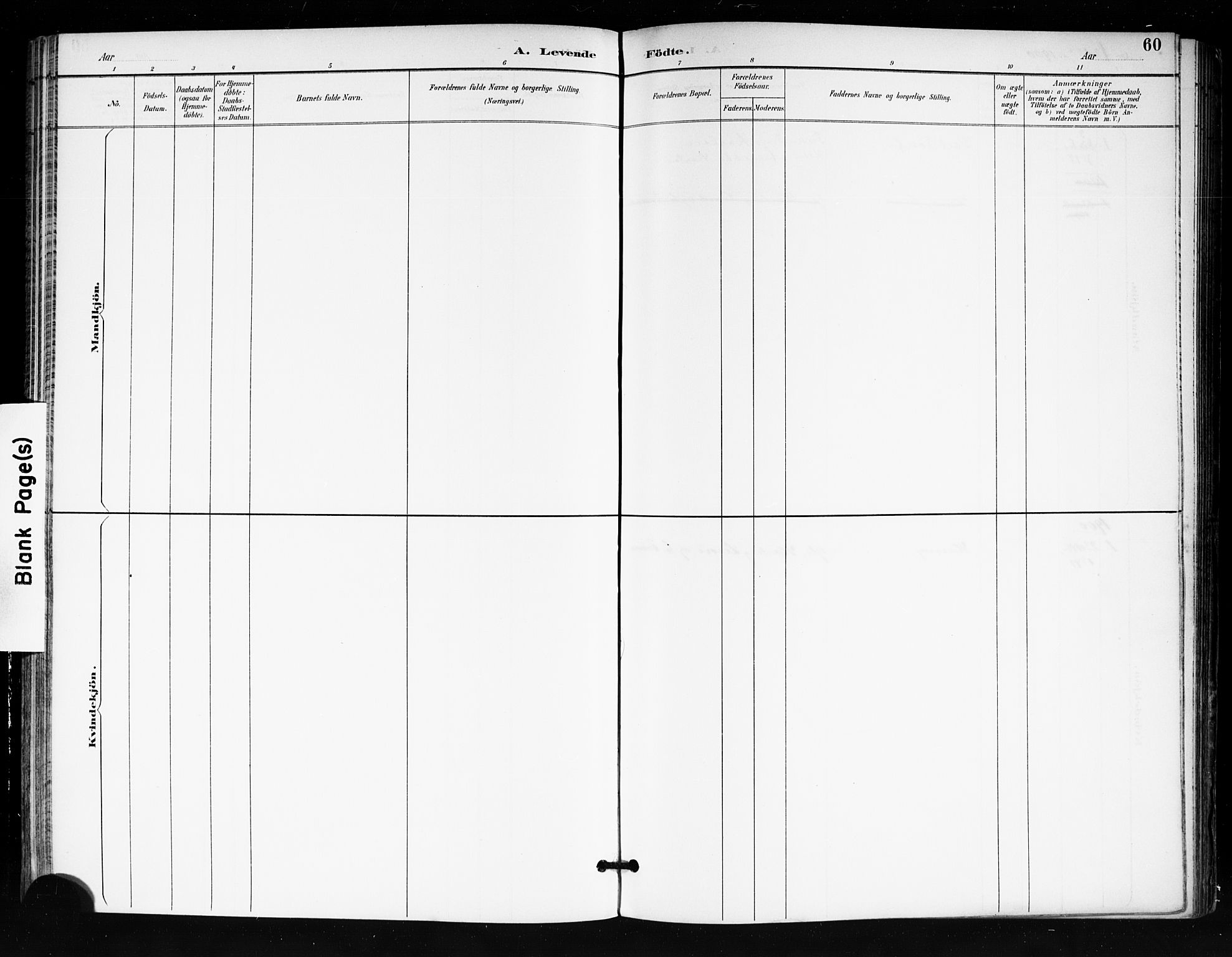 Tjøme kirkebøker, AV/SAKO-A-328/F/Fa/L0003: Parish register (official) no. I 3, 1891-1900, p. 60