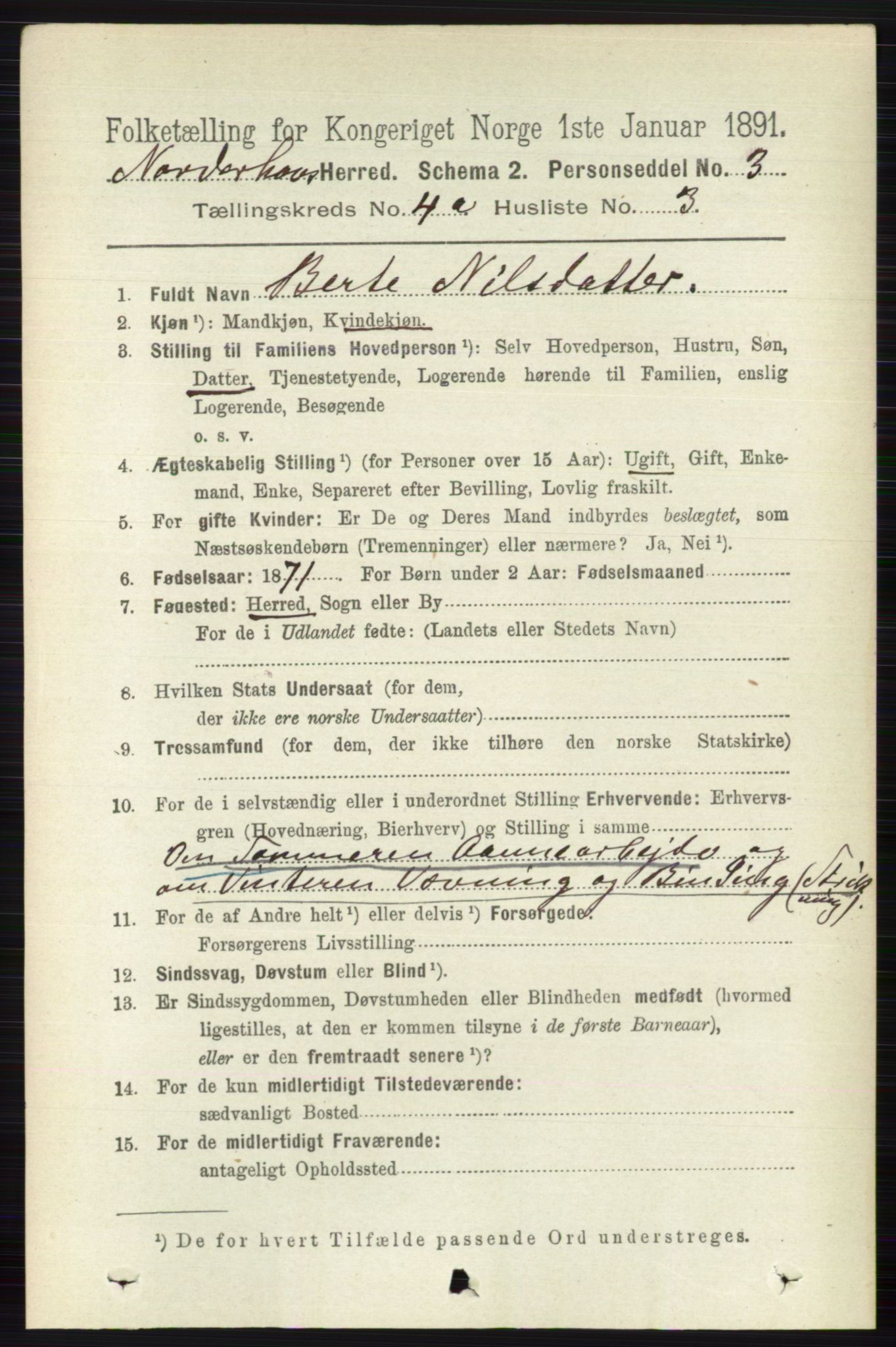 RA, 1891 census for 0613 Norderhov, 1891, p. 1731