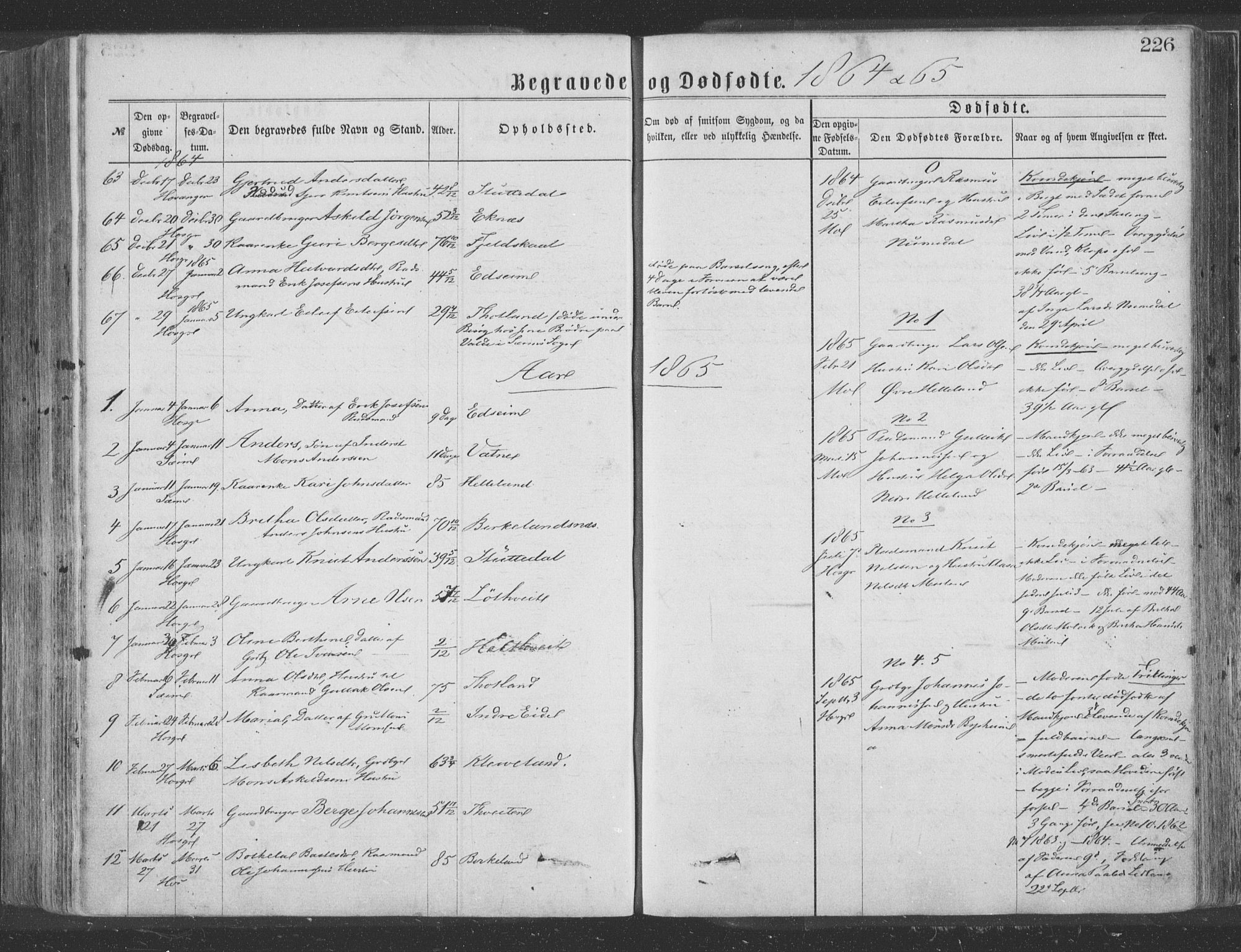 Hosanger sokneprestembete, SAB/A-75801/H/Haa: Parish register (official) no. A 9, 1864-1876, p. 226