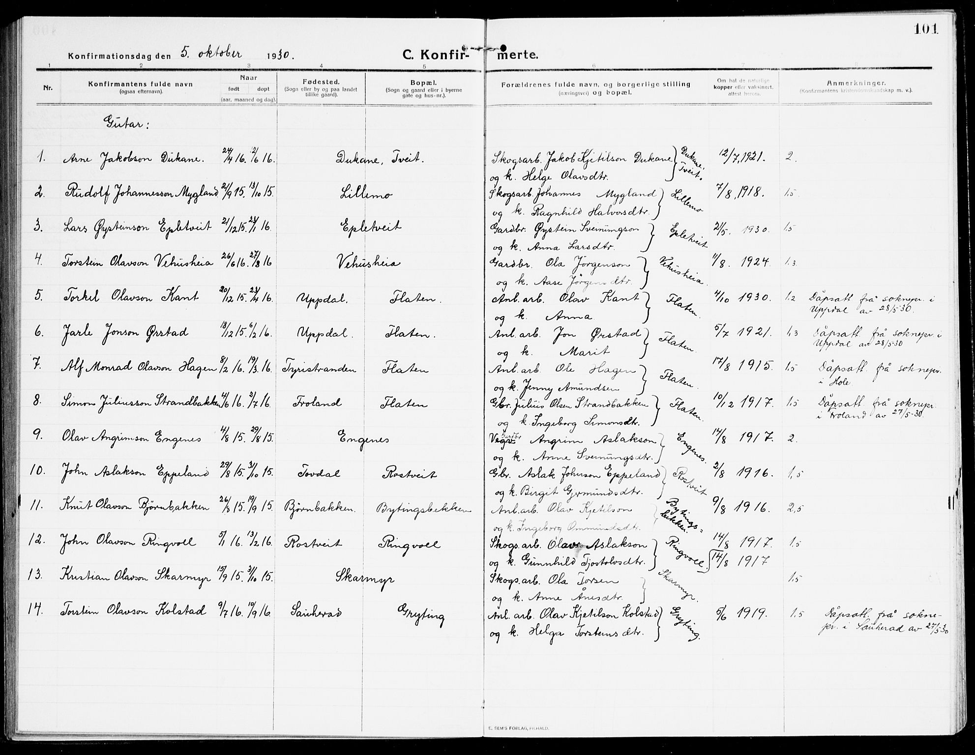 Åmli sokneprestkontor, AV/SAK-1111-0050/F/Fa/Fac/L0013: Parish register (official) no. A 13, 1914-1933, p. 101