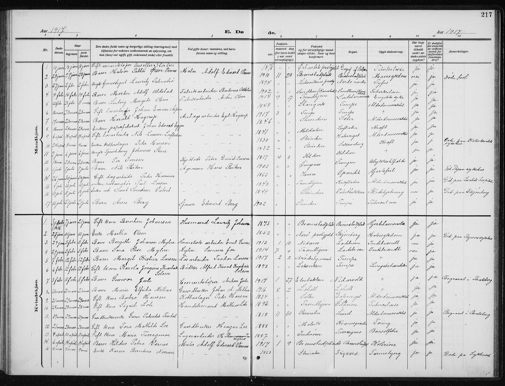 Ministerialprotokoller, klokkerbøker og fødselsregistre - Sør-Trøndelag, SAT/A-1456/606/L0314: Parish register (copy) no. 606C10, 1911-1937, p. 217