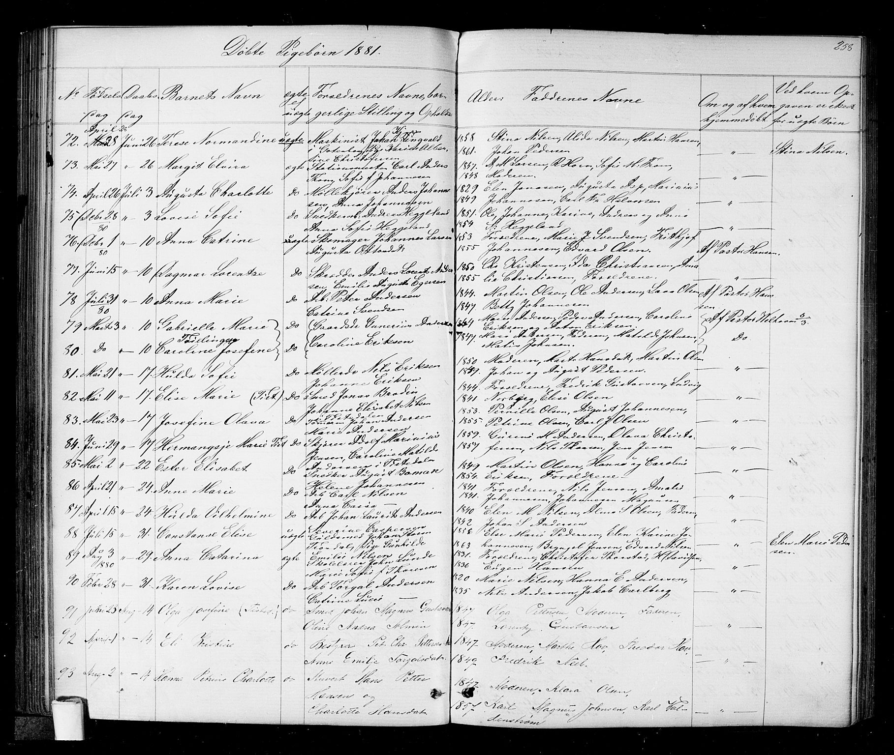 Halden prestekontor Kirkebøker, AV/SAO-A-10909/G/Ga/L0006: Parish register (copy) no. 6, 1869-1884, p. 258