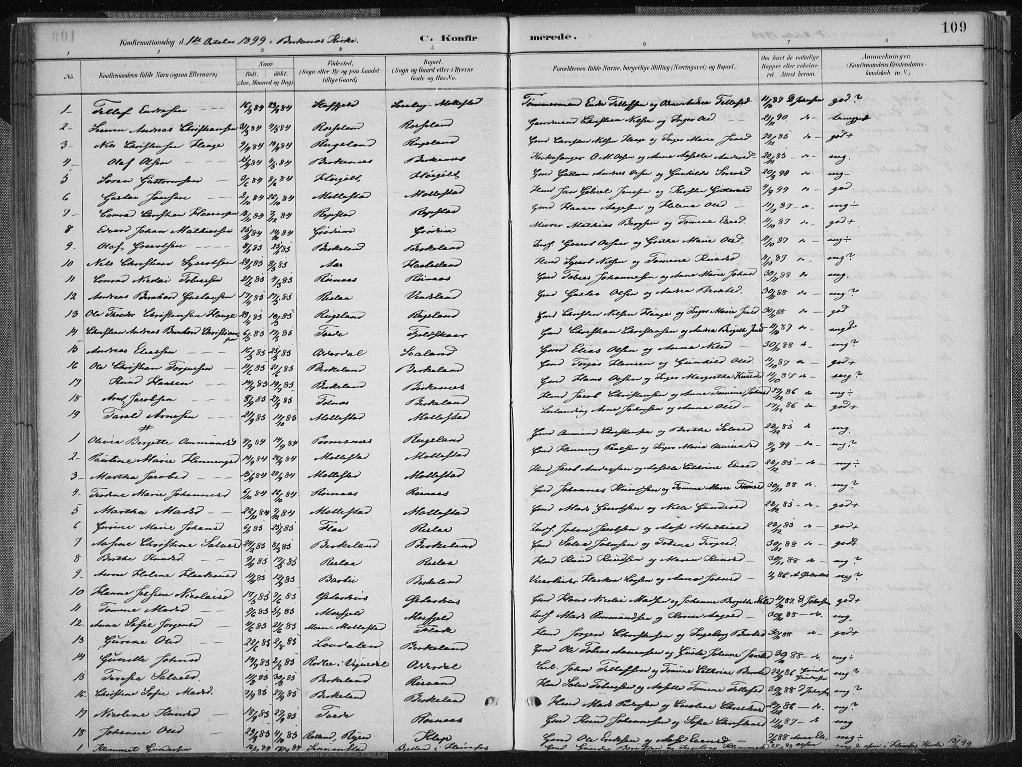 Birkenes sokneprestkontor, SAK/1111-0004/F/Fa/L0005: Parish register (official) no. A 5, 1887-1907, p. 109