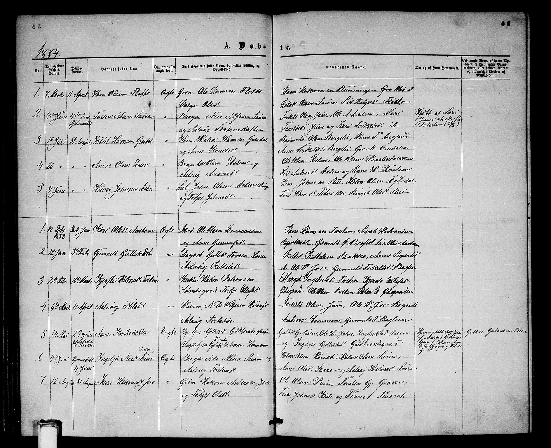 Gransherad kirkebøker, SAKO/A-267/G/Gb/L0002: Parish register (copy) no. II 2, 1860-1886, p. 46