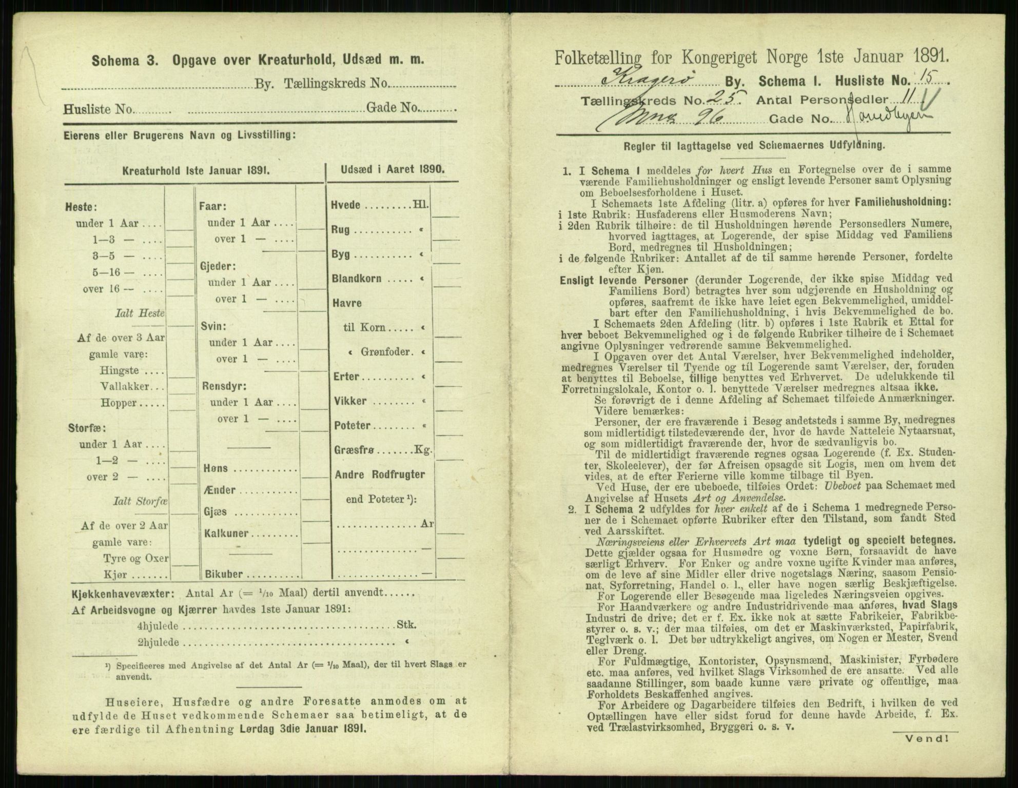 RA, 1891 census for 0801 Kragerø, 1891, p. 958