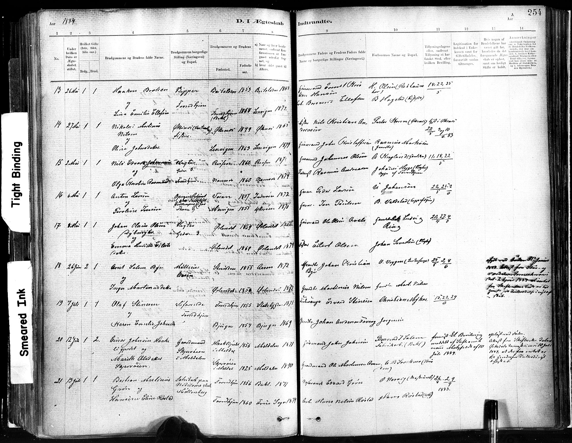 Ministerialprotokoller, klokkerbøker og fødselsregistre - Sør-Trøndelag, SAT/A-1456/602/L0119: Parish register (official) no. 602A17, 1880-1901, p. 254