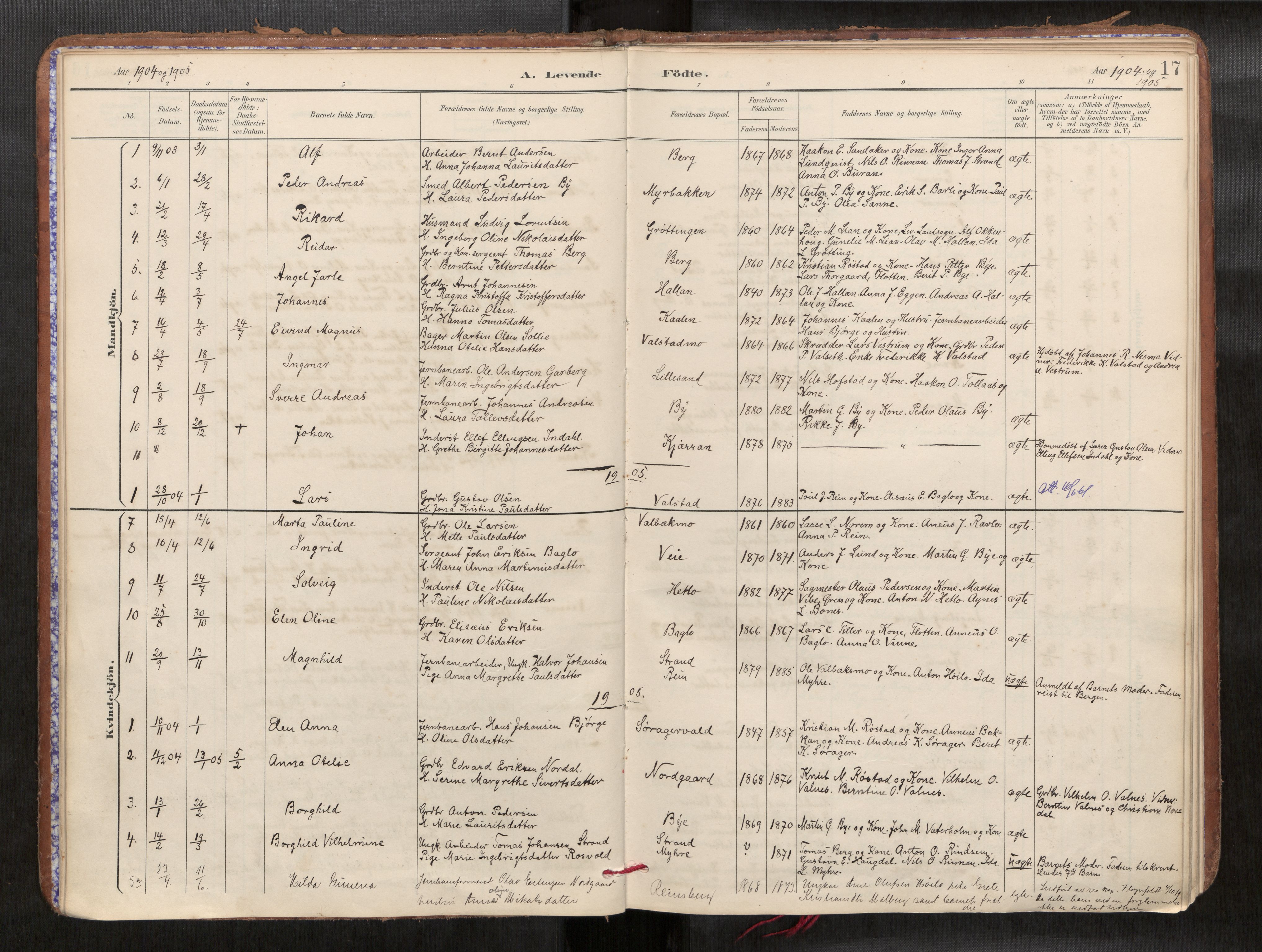 Verdal sokneprestkontor, SAT/A-1156/2/H/Haa/L0002: Parish register (official) no. 2, 1891-1907, p. 17