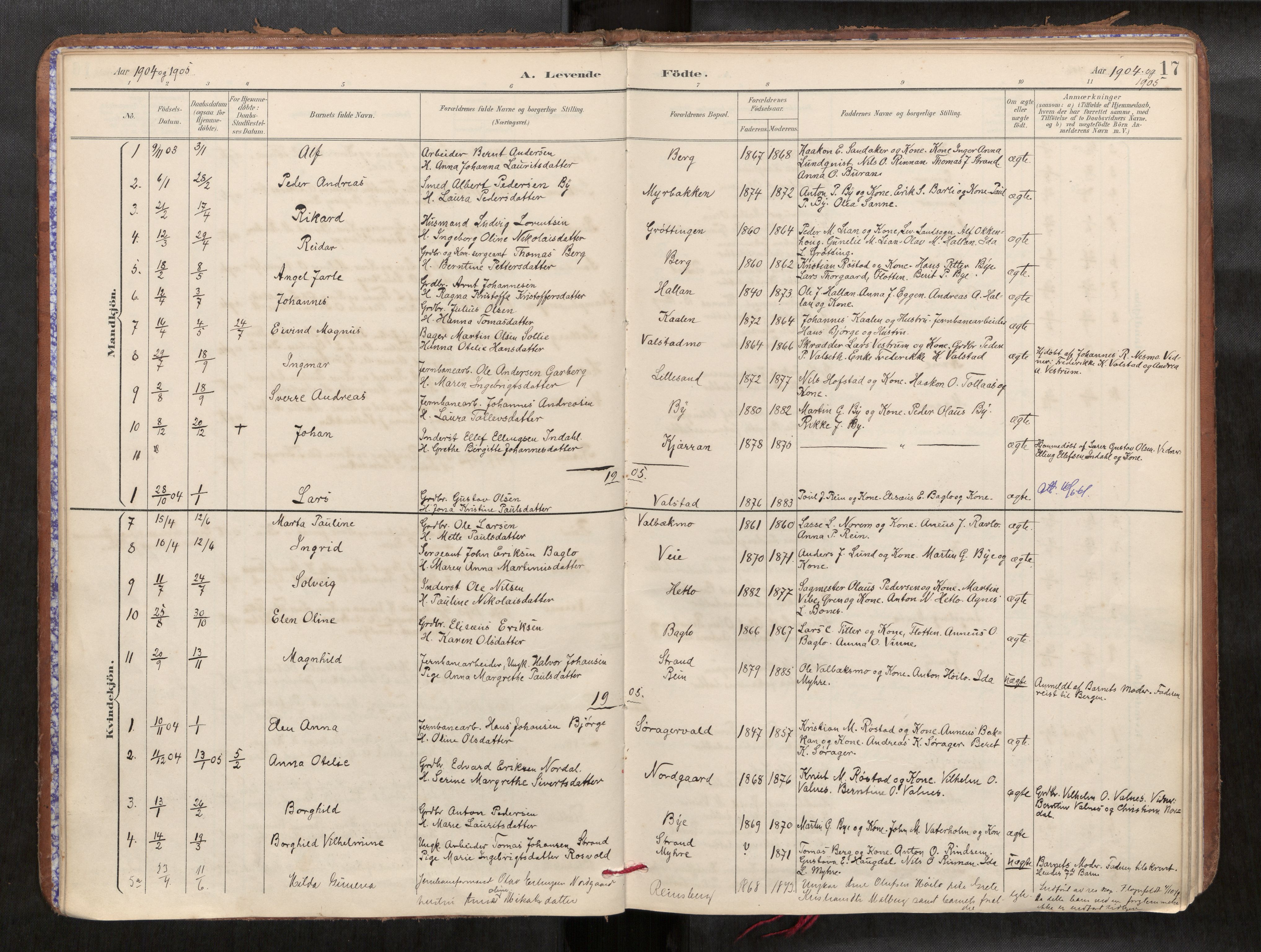 Verdal sokneprestkontor, AV/SAT-A-1156/2/H/Haa/L0002: Parish register (official) no. 2, 1891-1907, p. 17