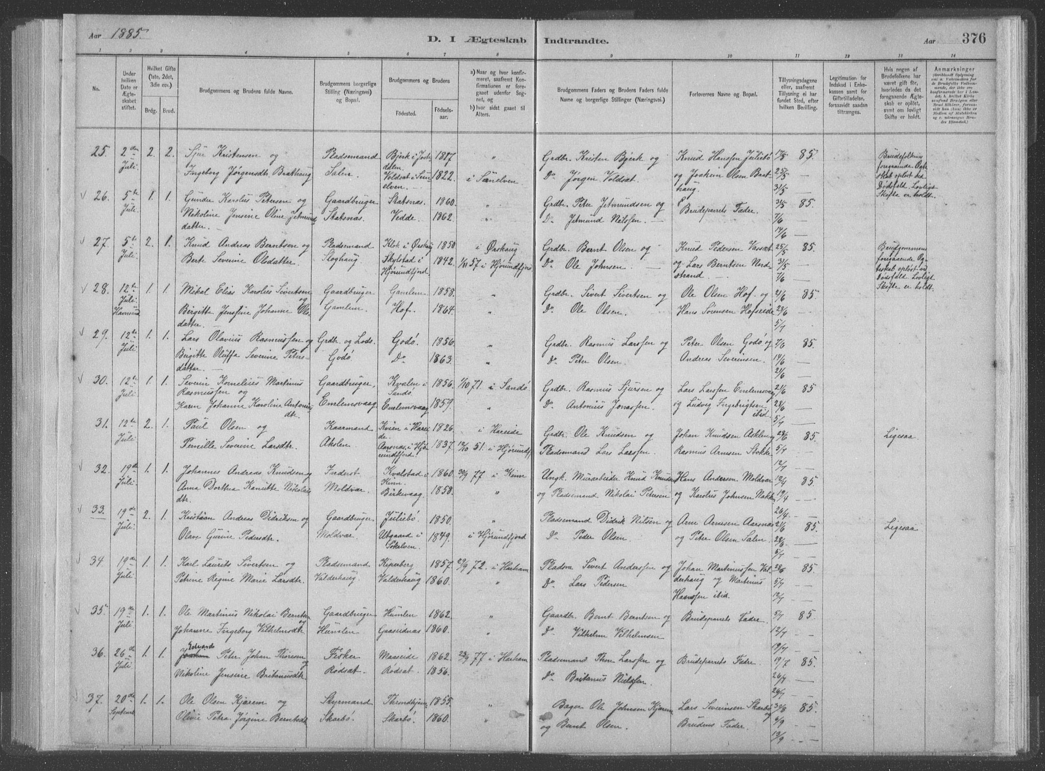 Ministerialprotokoller, klokkerbøker og fødselsregistre - Møre og Romsdal, AV/SAT-A-1454/528/L0402: Parish register (official) no. 528A12II, 1880-1903, p. 376