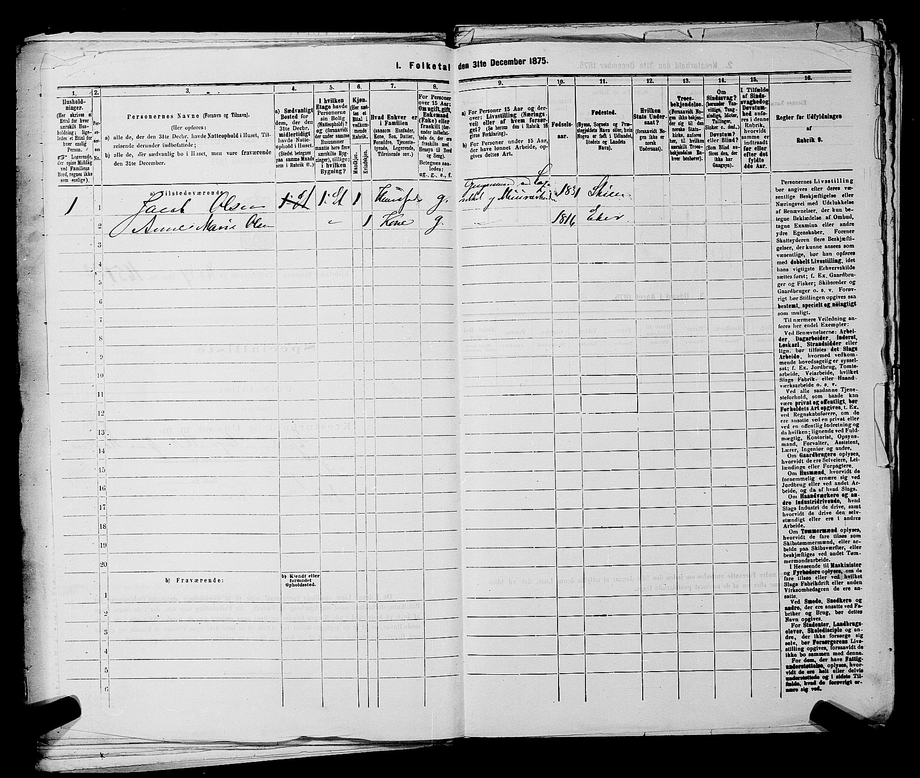 SAKO, 1875 census for 0602 Drammen, 1875, p. 3787