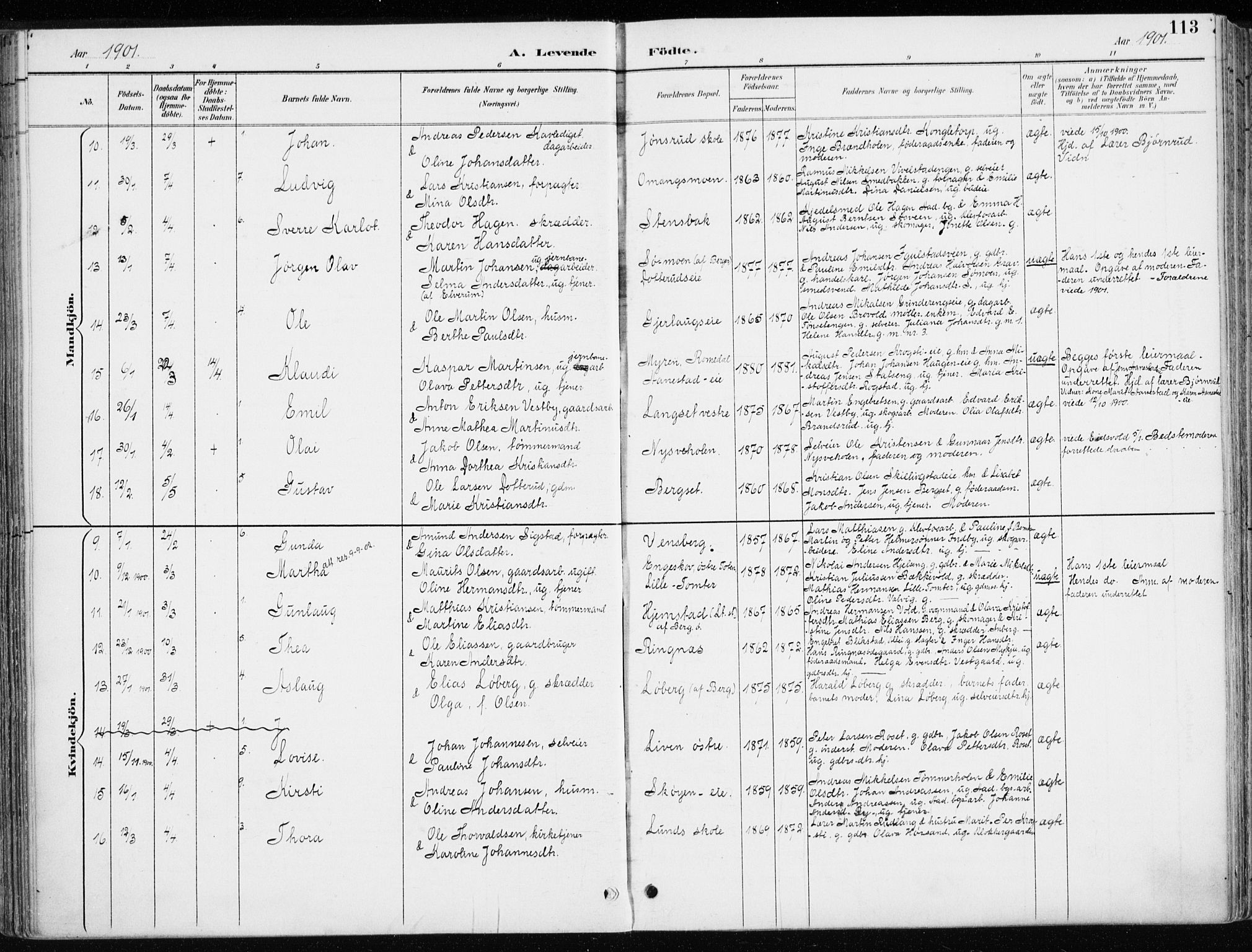 Løten prestekontor, AV/SAH-PREST-022/K/Ka/L0010: Parish register (official) no. 10, 1892-1907, p. 113