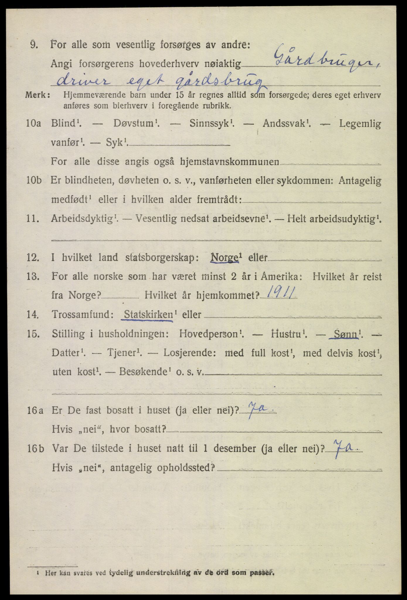 SAK, 1920 census for Hornnes, 1920, p. 1594