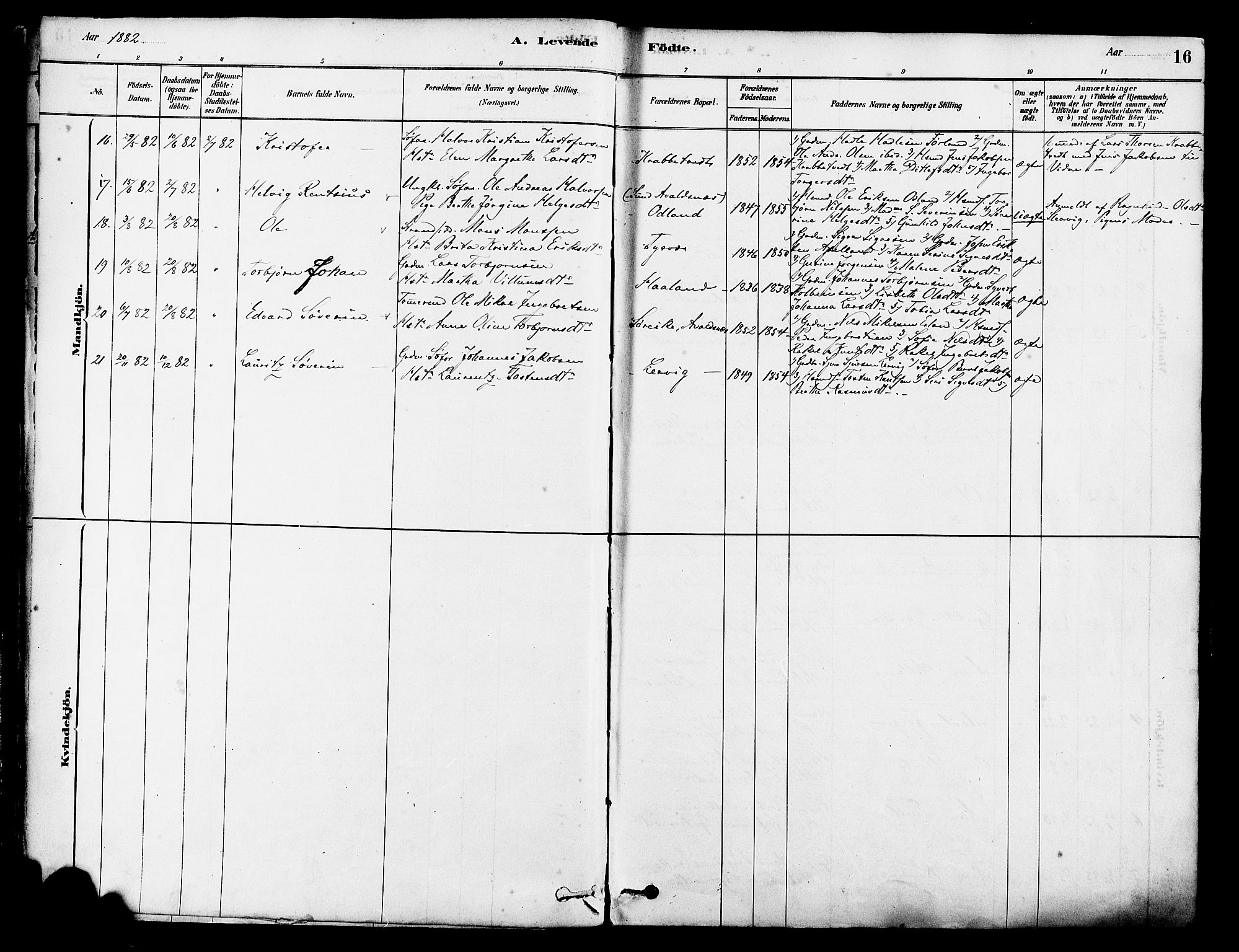 Tysvær sokneprestkontor, SAST/A -101864/H/Ha/Haa/L0006: Parish register (official) no. A 6, 1878-1896, p. 16