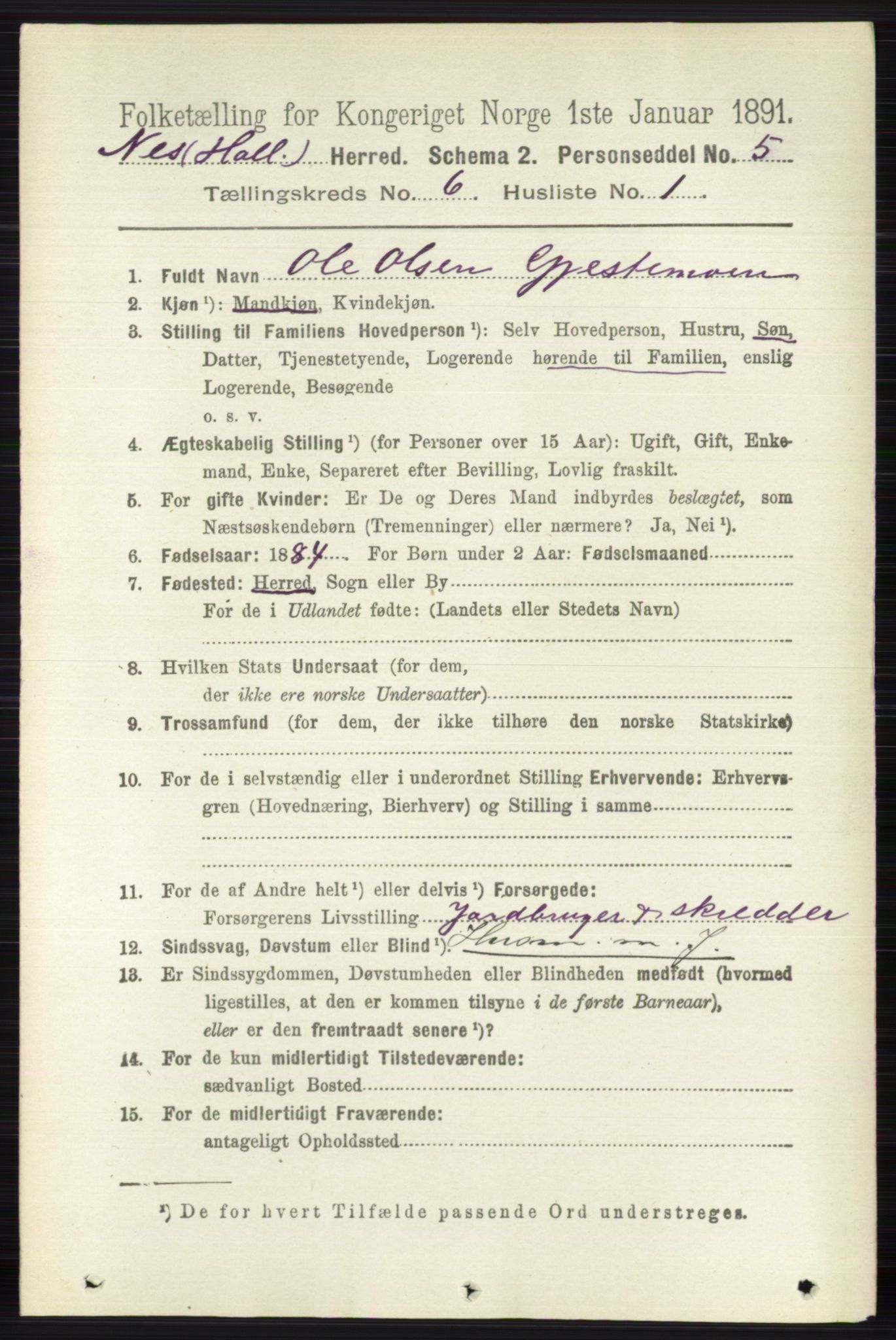 RA, 1891 census for 0616 Nes, 1891, p. 3048