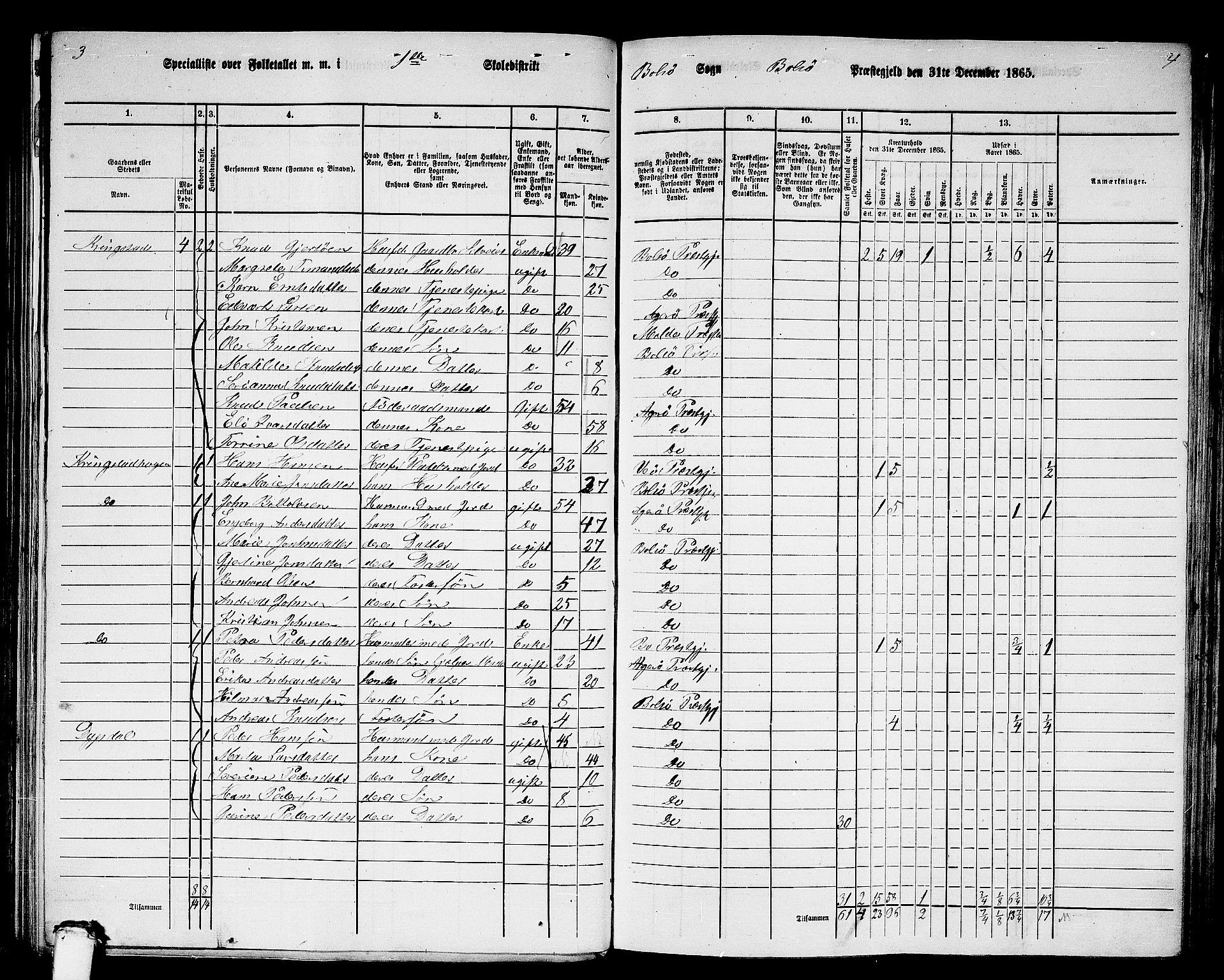 RA, 1865 census for Bolsøy, 1865, p. 9